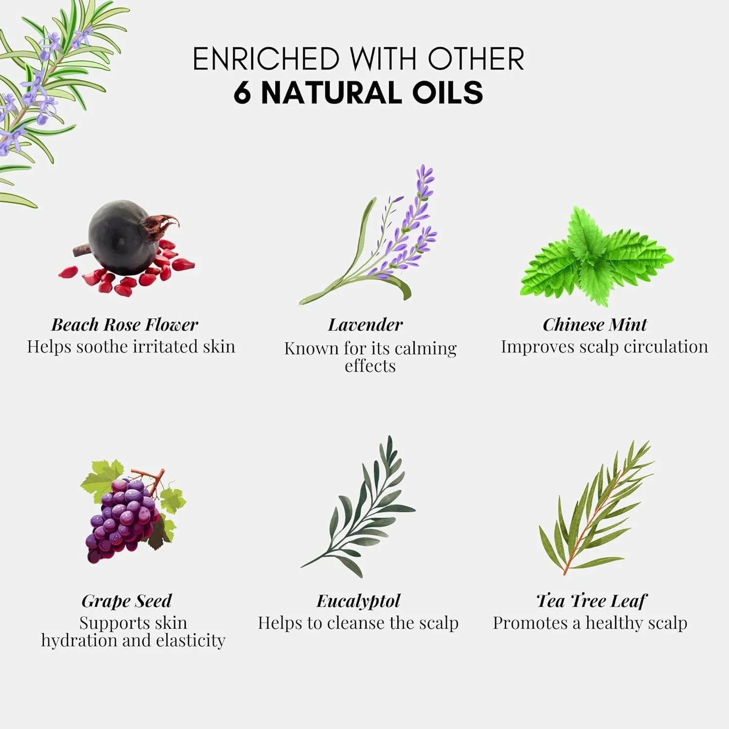 روغن مو رزماری Herbion Naturals حجم 100 میلی لیتر - روغن تقویت کننده مو غنی شده با روغن های ضروری برای مراقبت از پوست سر و مو، سرم تقویت کننده مو با اسطوخودوس و درخت چای، بطری شیشه ای روغن مو رزماری Herbion Naturals حجم 100 میلی لیتر - روغن تقویت کننده مو غنی شده با روغن های ضروری برای مراقبت از پوست سر و مو، سرم تقویت کننده مو با اسطوخودوس و درخت چای، بطری شیشه ای