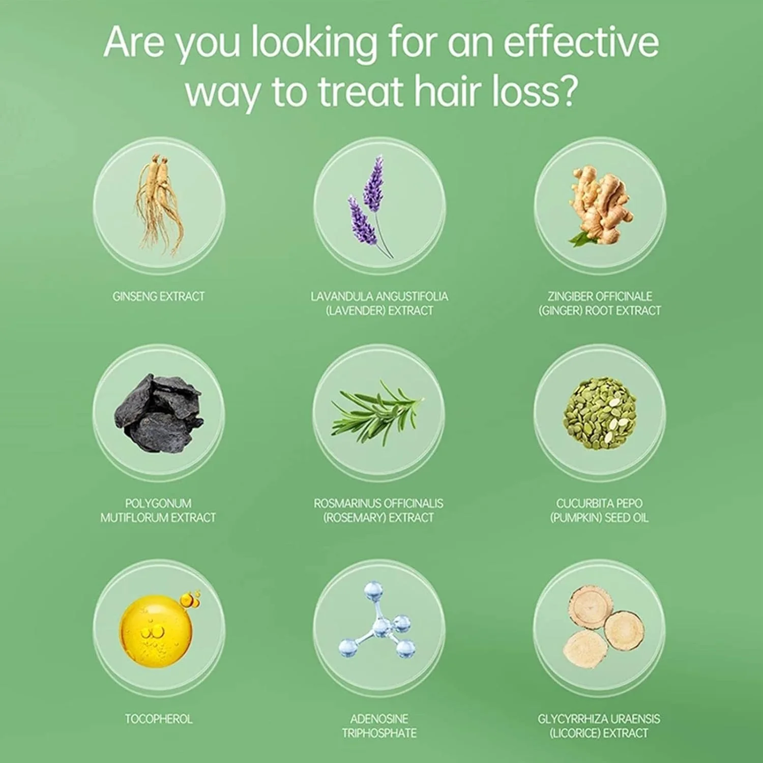 سرم های رشد مو، کیت اسانس زنجبیل مو برای موهای زبر، کدر و شکننده، صاف کننده مو، تغذیه کننده پوست سر برای زنان و مردان سرم های رشد مو، کیت اسانس زنجبیل مو برای موهای زبر، کدر و شکننده، صاف کننده مو، تغذیه کننده پوست سر برای زنان و مردان