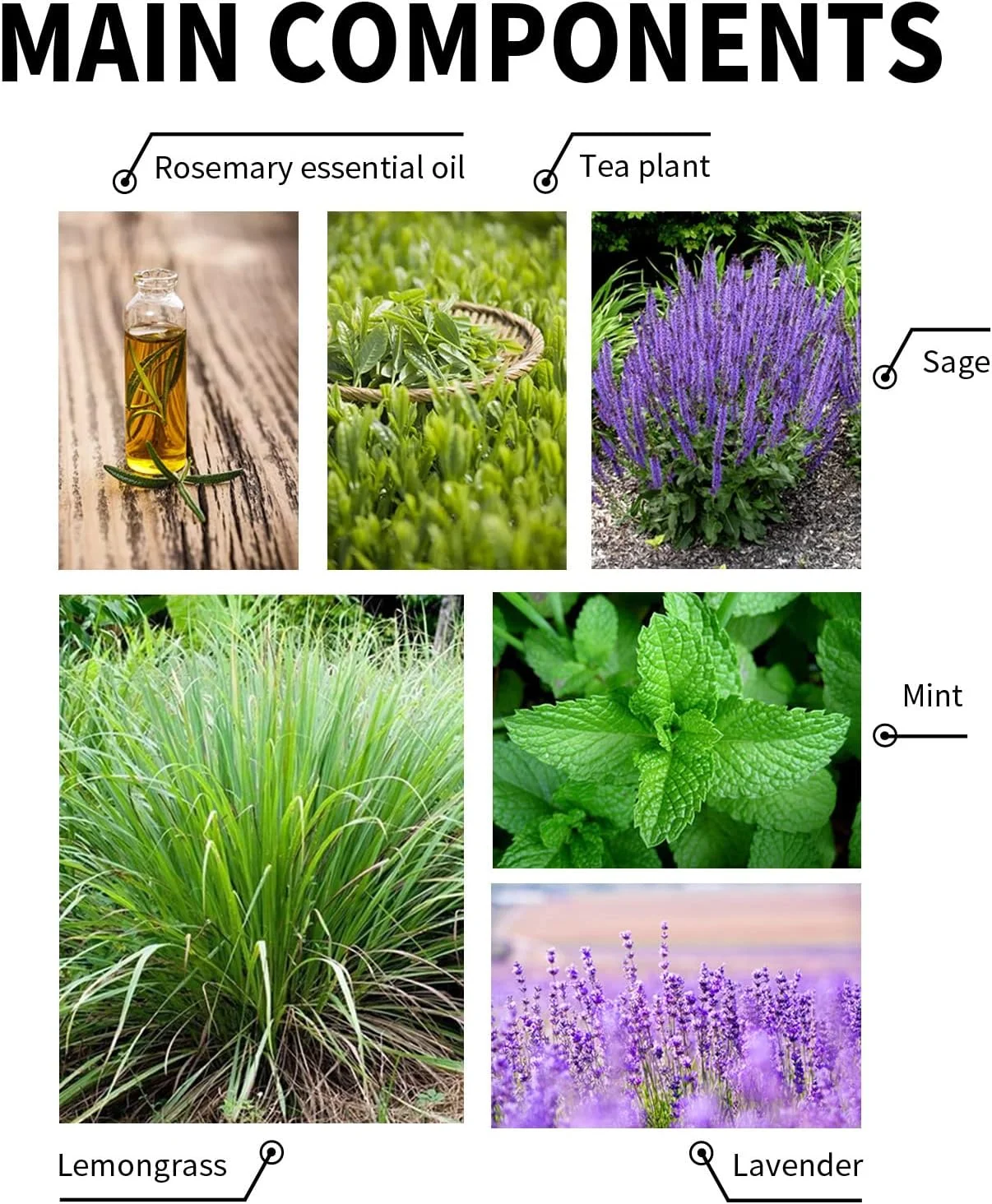 محلول ضد ریزش مو فاونوو اسنسز، سرم اسانس طبیعی 60 میلی لیتر برای جلوگیری از ریزش مو و تحریک پوست سر محلول ضد ریزش مو فاونوو اسنسز، سرم اسانس طبیعی 60 میلی لیتر برای جلوگیری از ریزش مو و تحریک پوست سر