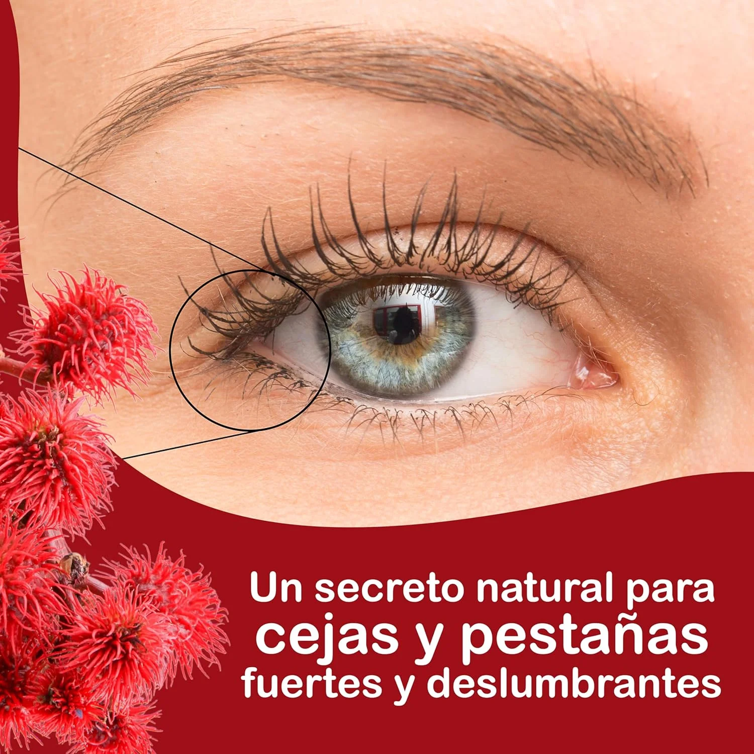 روغن کرچک برای مژه و سرم مژه، تسریع رشد مو، ریزش مو، رشد مو، سرم ابرو، ریش، روغن کرچک ناخن ارگانیک پرس سرد 500 میلی لیتر روغن کرچک برای مژه و سرم مژه، تسریع رشد مو، ریزش مو، رشد مو، سرم ابرو، ریش، روغن کرچک ناخن ارگانیک پرس سرد 500 میلی لیتر