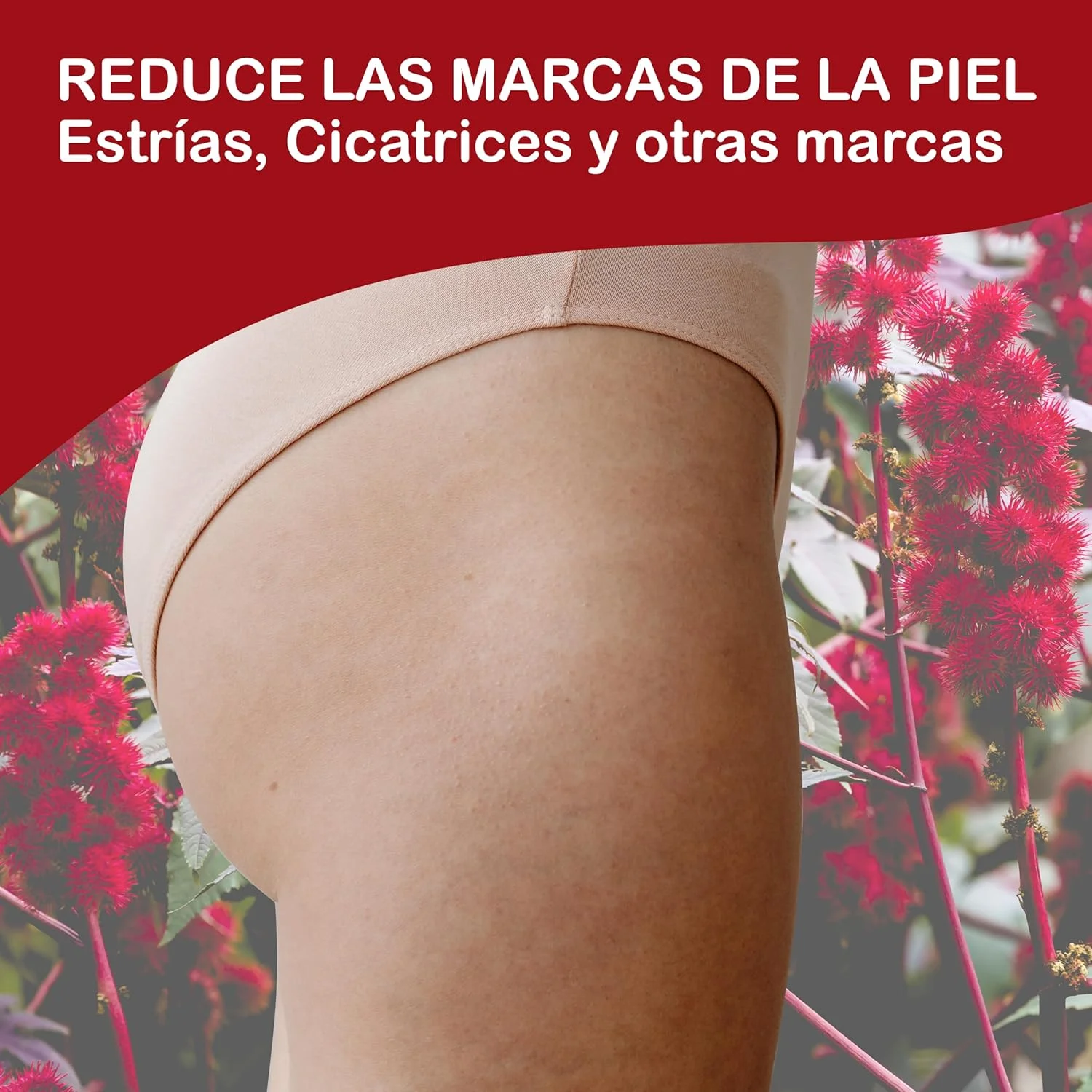 روغن کرچک برای مژه و سرم مژه، تسریع رشد مو، ریزش مو، رشد مو، سرم ابرو، ریش، روغن کرچک ناخن ارگانیک پرس سرد 500 میلی لیتر روغن کرچک برای مژه و سرم مژه، تسریع رشد مو، ریزش مو، رشد مو، سرم ابرو، ریش، روغن کرچک ناخن ارگانیک پرس سرد 500 میلی لیتر