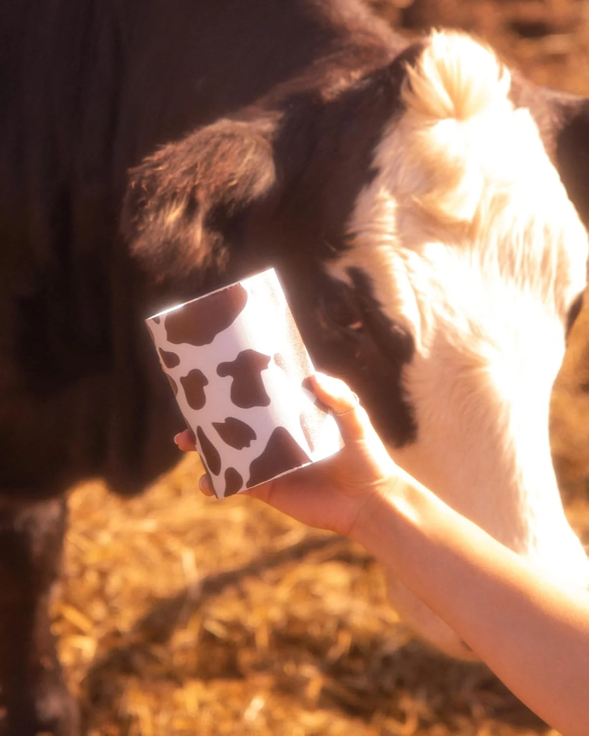 فویل هایلایت طرح گاوی FRAMAR برای آرایشگران مو - فویل آلومینیومی آرایشگری، فویل آلومینیومی برای مجموعه رشته ها، فویل مو، فویل هایلایت، رشته های فویل آرایشگری، فویل هایلایت، رول های فویل