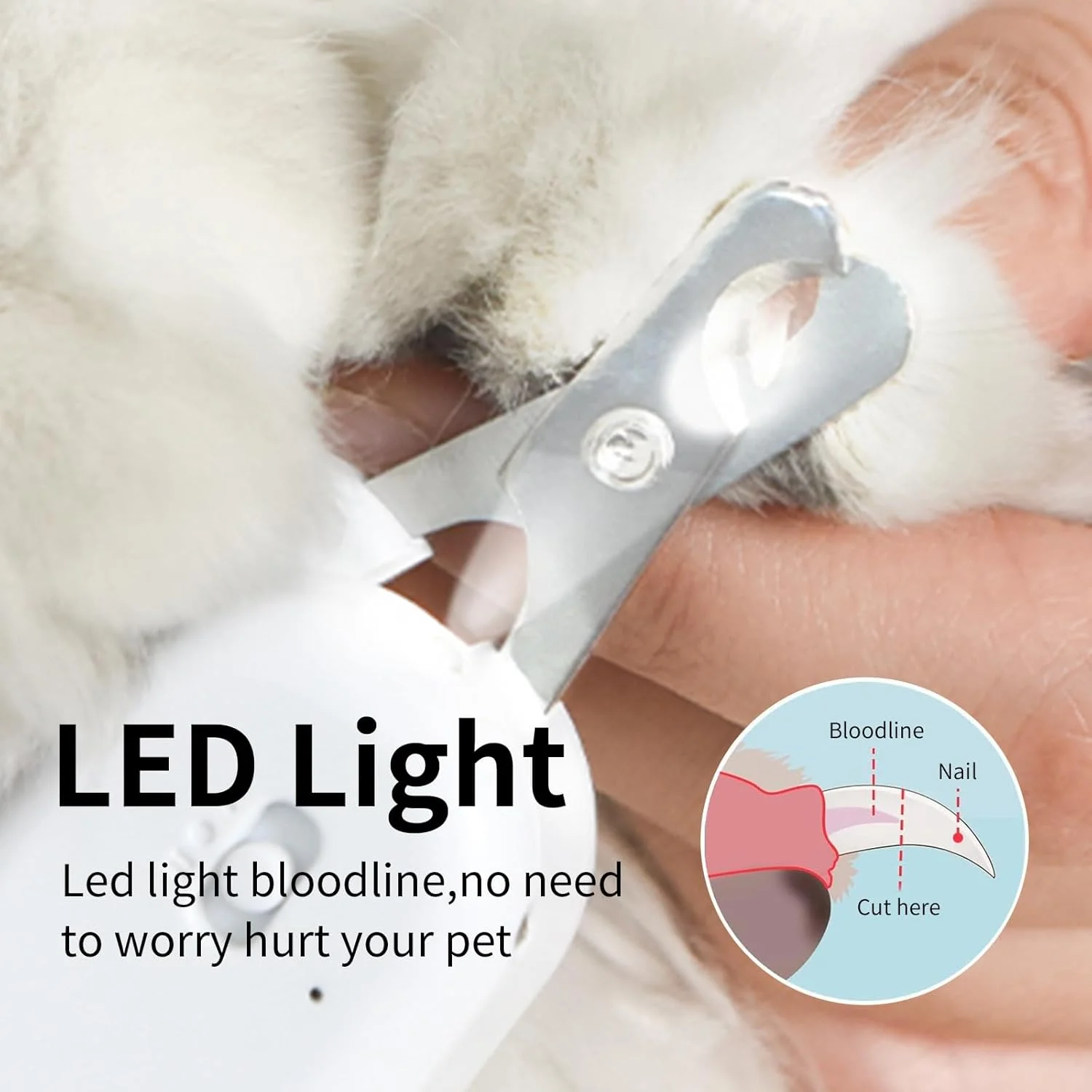 ناخن گیر حیوانات خانگی PAKEWAY با نور LED و -U-V، ناخن گیر گربه با نور LED فوق العاده روشن برای رگ خونی ناخن برای جلوگیری از کوتاه کردن بیش از حد، ابزار نظافت تیغه زاویه دار تیز برای سگ گربه خرگوش حیوانات کوچک ناخن گیر حیوانات خانگی PAKEWAY با نور LED و -U-V، ناخن گیر گربه با نور LED فوق العاده روشن برای رگ خونی ناخن برای جلوگیری از کوتاه کردن بیش از حد، ابزار نظافت تیغه زاویه دار تیز برای سگ گربه خرگوش حیوانات کوچک