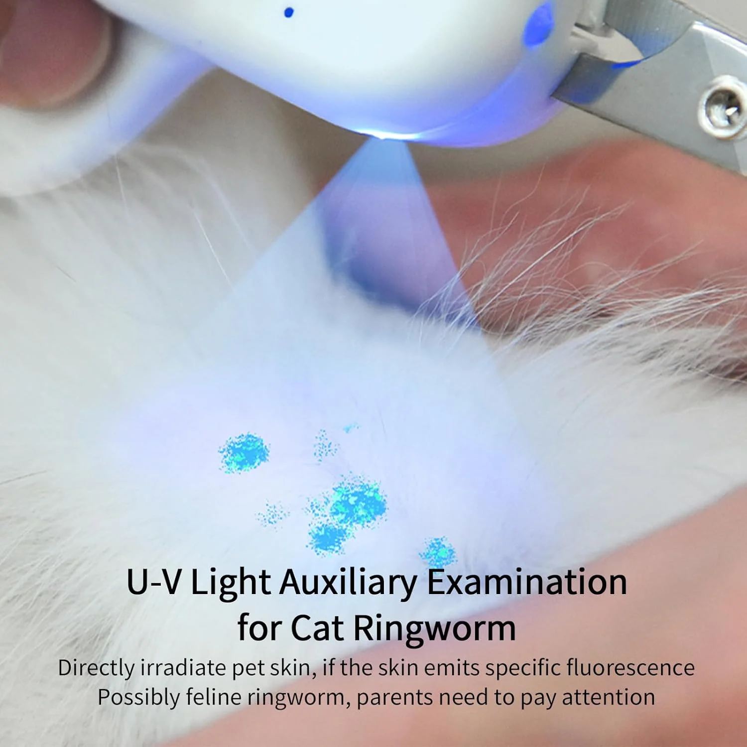 ناخن گیر حیوانات خانگی PAKEWAY با نور LED و -U-V، ناخن گیر گربه با نور LED فوق العاده روشن برای رگ خونی ناخن برای جلوگیری از کوتاه کردن بیش از حد، ابزار نظافت تیغه زاویه دار تیز برای سگ گربه خرگوش حیوانات کوچک ناخن گیر حیوانات خانگی PAKEWAY با نور LED و -U-V، ناخن گیر گربه با نور LED فوق العاده روشن برای رگ خونی ناخن برای جلوگیری از کوتاه کردن بیش از حد، ابزار نظافت تیغه زاویه دار تیز برای سگ گربه خرگوش حیوانات کوچک