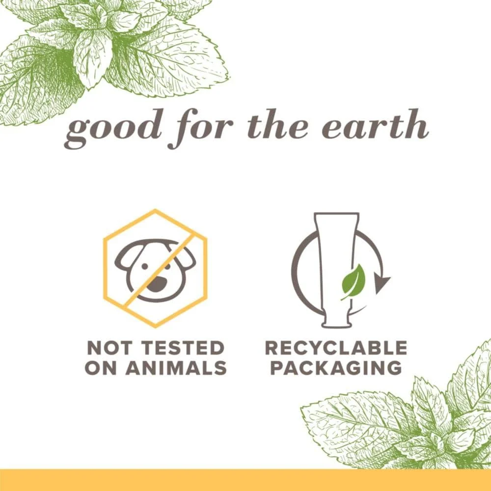 خمیر دندان Burt's Bees، طعم طبیعی، بدون فلوراید، سفید کننده خالص، نعناع ذن، 133 گرم، بسته 3 عددی