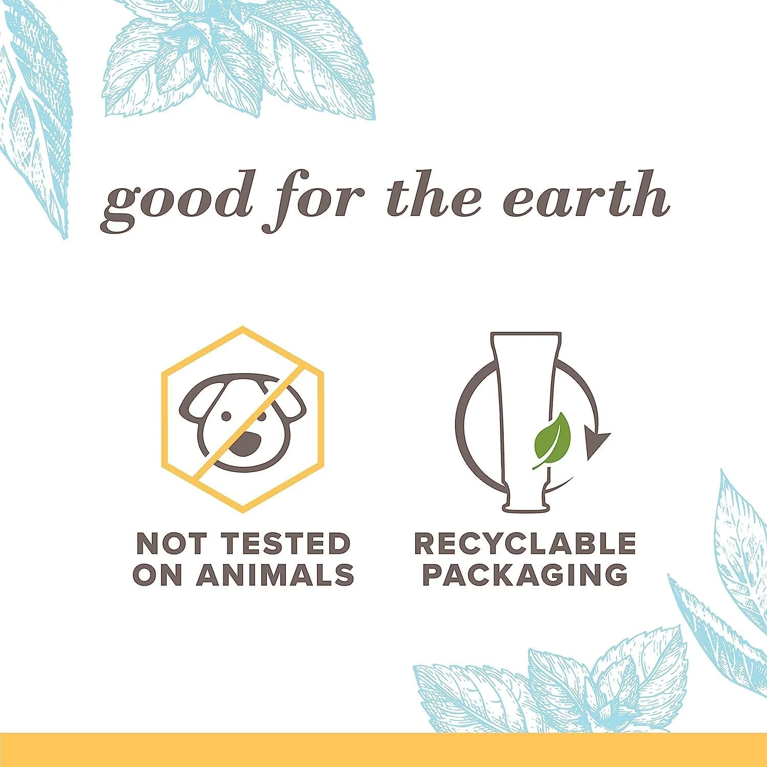 خمیر دندان نعناع کوهستانی سفید کننده اضافی Burt's Bees، ۱۳۳ گرم (بسته ۳ عددی) خمیر دندان نعناع کوهستانی سفید کننده اضافی Burt's Bees، ۱۳۳ گرم (بسته ۳ عددی)