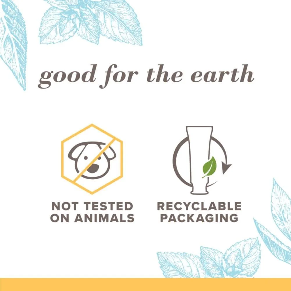 خمیر دندان سفید کننده اضافی Burt's Bees با طعم نعناع ذن 140 میلی لیتر خمیر دندان سفید کننده اضافی Burt's Bees با طعم نعناع ذن 140 میلی لیتر