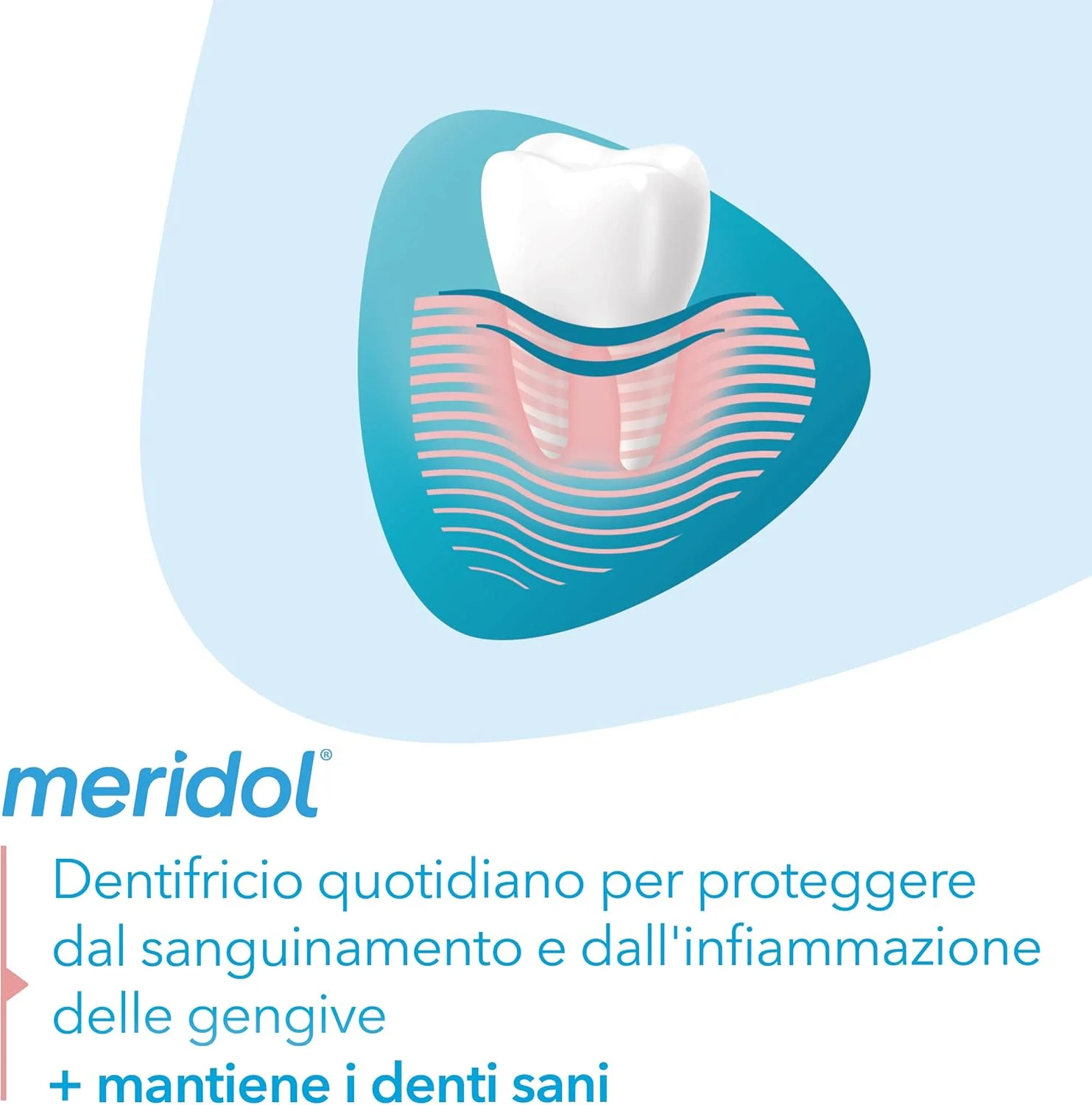 خمیر دندان مریدول محافظ لثه 12 بسته 75 میلی لیتری، مبارزه با خونریزی و بیماری لثه | فرمولاسیون دوگانه | اثر ضد باکتریایی