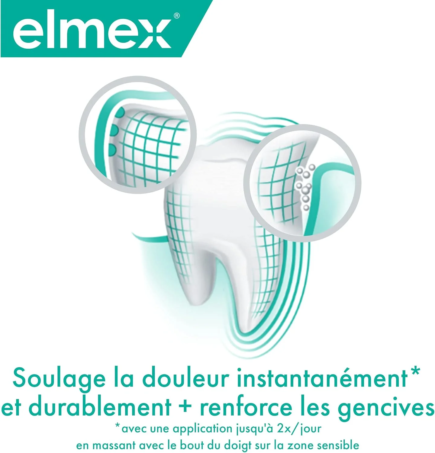 خمیر دندان سفید کننده دندان های حساس Elmex حجم 75 میلی لیتر