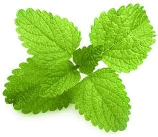 خمیر دندان مراقبت کامل Lavera