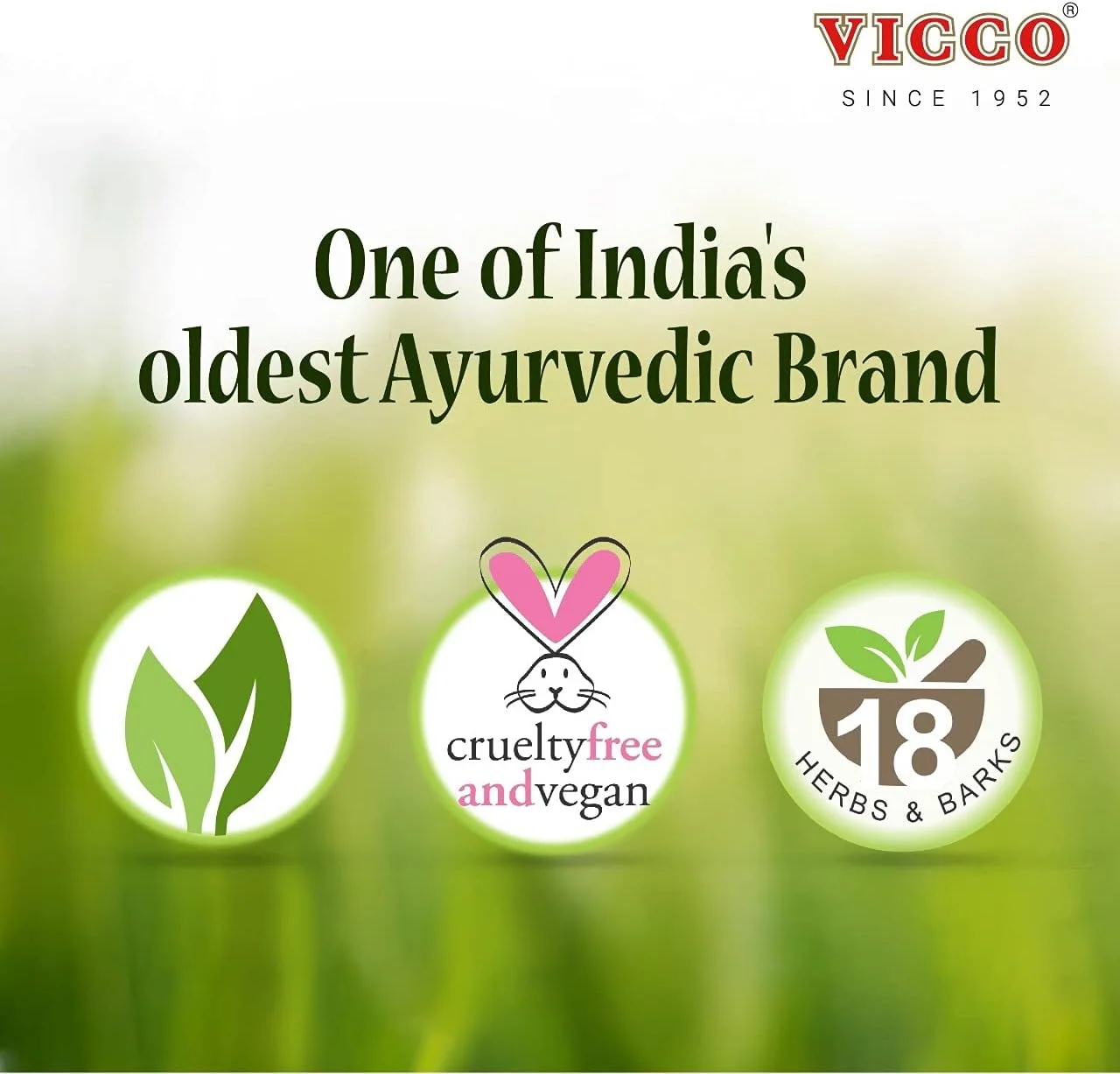 خمیر دندان گیاهی ویکو واجرادانتی - طعم دارچین 200 گرم