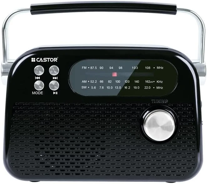رادیو FM قابل حمل CASTOR iBELL FM820BT با بلندگوی بلوتوث، باتری قابل شارژ، پخش کننده USB SD MP3 و بلندگوی دینامیک 3 باند، قهوه ای.