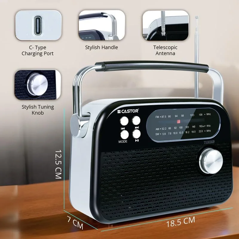 رادیو FM قابل حمل CASTOR iBELL FM820BT با بلندگوی بلوتوث، باتری قابل شارژ، پخش کننده USB SD MP3 و بلندگوی دینامیک 3 باند، قهوه ای.