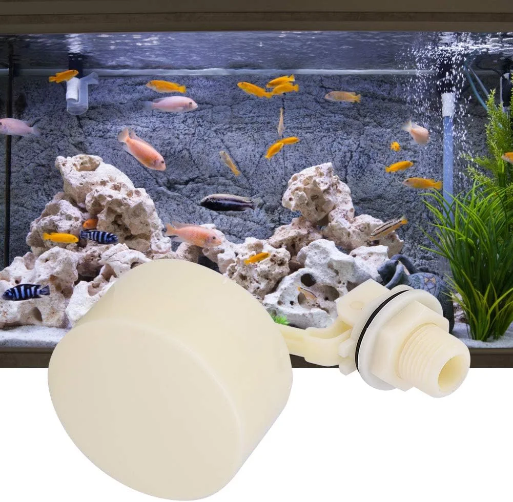 شیر شناور، رزوه G1/2 سوئیچ شناور آب کاربردی و بادوام جهانی برای تجهیزات آبرسانی شیر شناور، رزوه G1/2 سوئیچ شناور آب کاربردی و بادوام جهانی برای تجهیزات آبرسانی