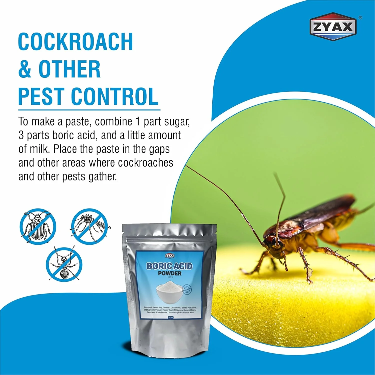 پودر بوریک اسید ZYAX 200 گرم، پودر خالص و ریز چند منظوره برای کنترل سوسک/آفات، پودر تخته کاروم، عامل تمیز کننده، کنترل بو و غیره، H3BO3 پودر بوریک اسید ZYAX 200 گرم، پودر خالص و ریز چند منظوره برای کنترل سوسک/آفات، پودر تخته کاروم، عامل تمیز کننده، کنترل بو و غیره، H3BO3