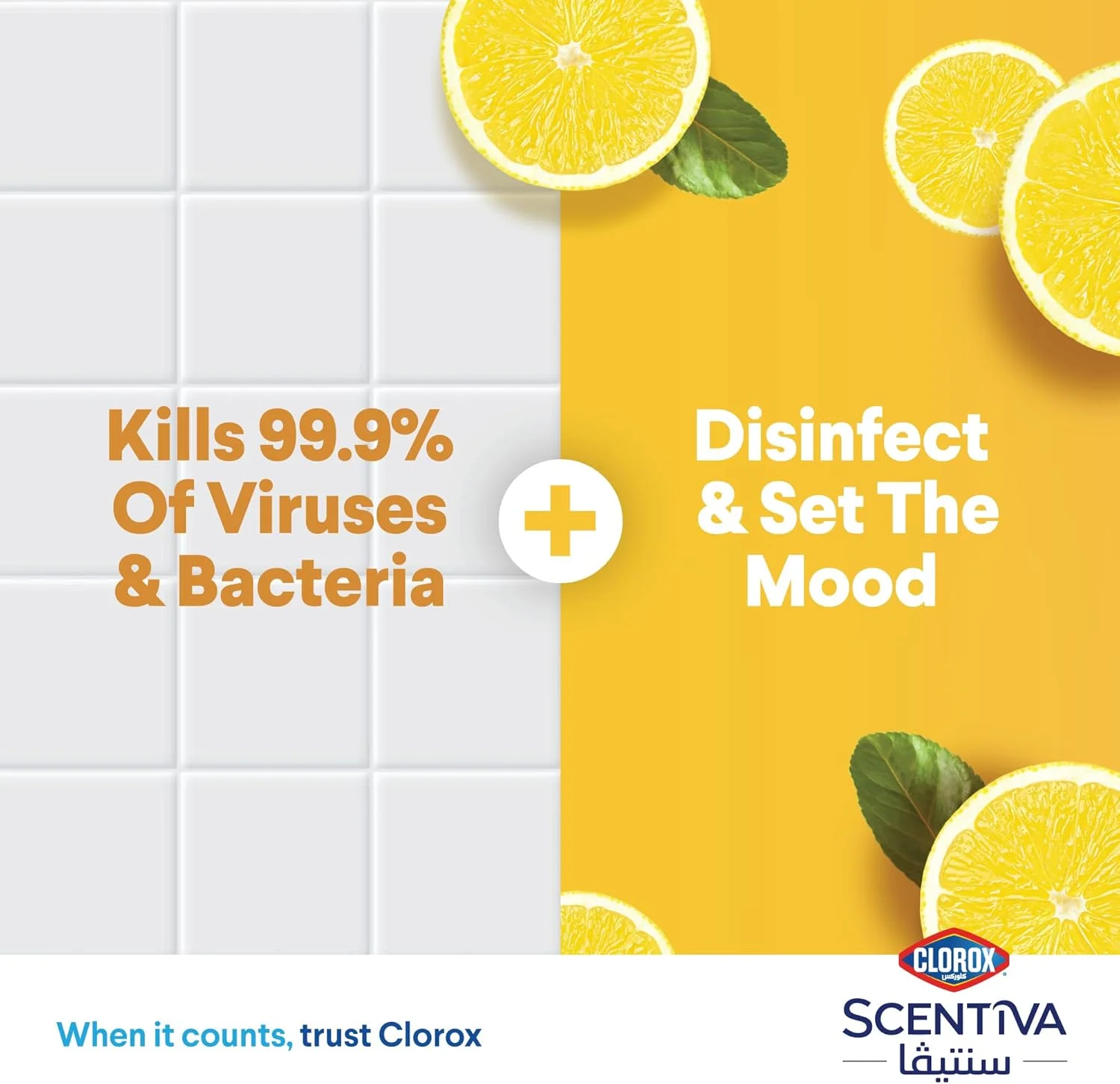 مایع ضدعفونی کننده کف کلروکس سنتiva با رایحه مرکبات ماداگاسکار، 3 لیتر، از بین برنده 99.9% ویروس ها و باکتری ها، بدون سفید کننده مایع ضدعفونی کننده کف کلروکس سنتiva با رایحه مرکبات ماداگاسکار، 3 لیتر، از بین برنده 99.9% ویروس ها و باکتری ها، بدون سفید کننده