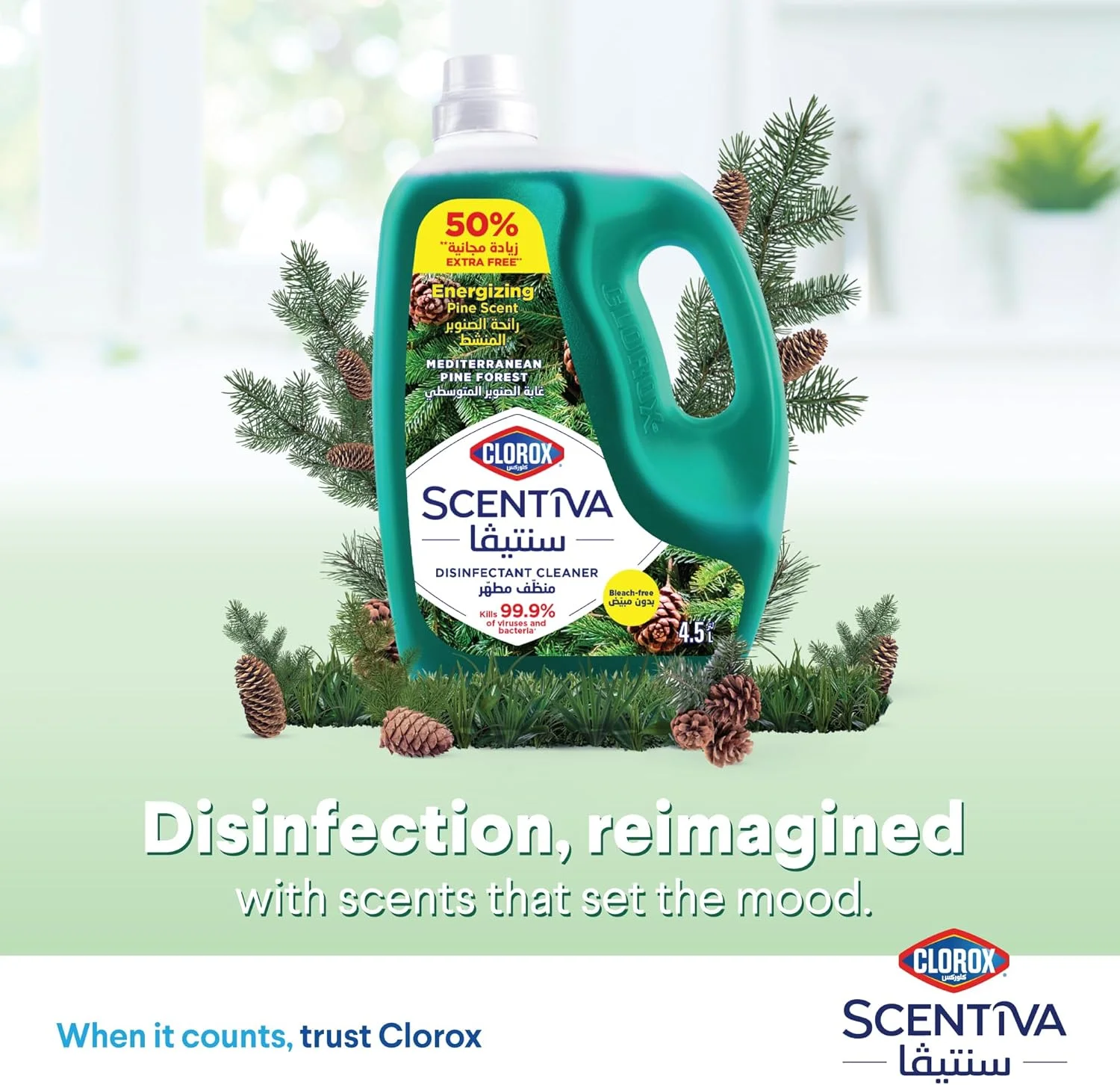 مایع ضدعفونی کننده کف کلروکس سنتيوا 4.5 لیتری، رایحه جنگل کاج مدیترانه ای، از بین برنده 99.9 درصد ویروس ها و باکتری ها، بدون سفید کننده مایع ضدعفونی کننده کف کلروکس سنتيوا 4.5 لیتری، رایحه جنگل کاج مدیترانه ای، از بین برنده 99.9 درصد ویروس ها و باکتری ها، بدون سفید کننده