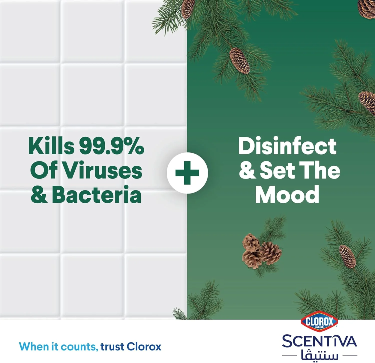 مایع ضدعفونی کننده کف کلروکس سنتيوا 4.5 لیتری، رایحه جنگل کاج مدیترانه ای، از بین برنده 99.9 درصد ویروس ها و باکتری ها، بدون سفید کننده مایع ضدعفونی کننده کف کلروکس سنتيوا 4.5 لیتری، رایحه جنگل کاج مدیترانه ای، از بین برنده 99.9 درصد ویروس ها و باکتری ها، بدون سفید کننده