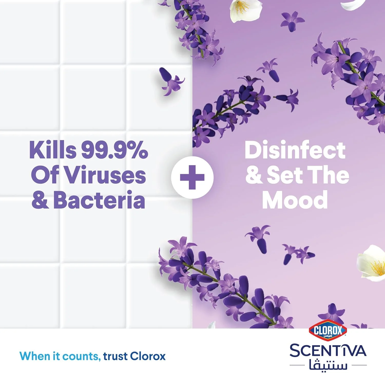 مایع ضدعفونی کننده کف کلروکس سنتوا 4.5 لیتری، رایحه اسطوخودوس توسکانی، از بین برنده 99.9% ویروس ها و باکتری ها، بدون سفید کننده مایع ضدعفونی کننده کف کلروکس سنتوا 4.5 لیتری، رایحه اسطوخودوس توسکانی، از بین برنده 99.9% ویروس ها و باکتری ها، بدون سفید کننده