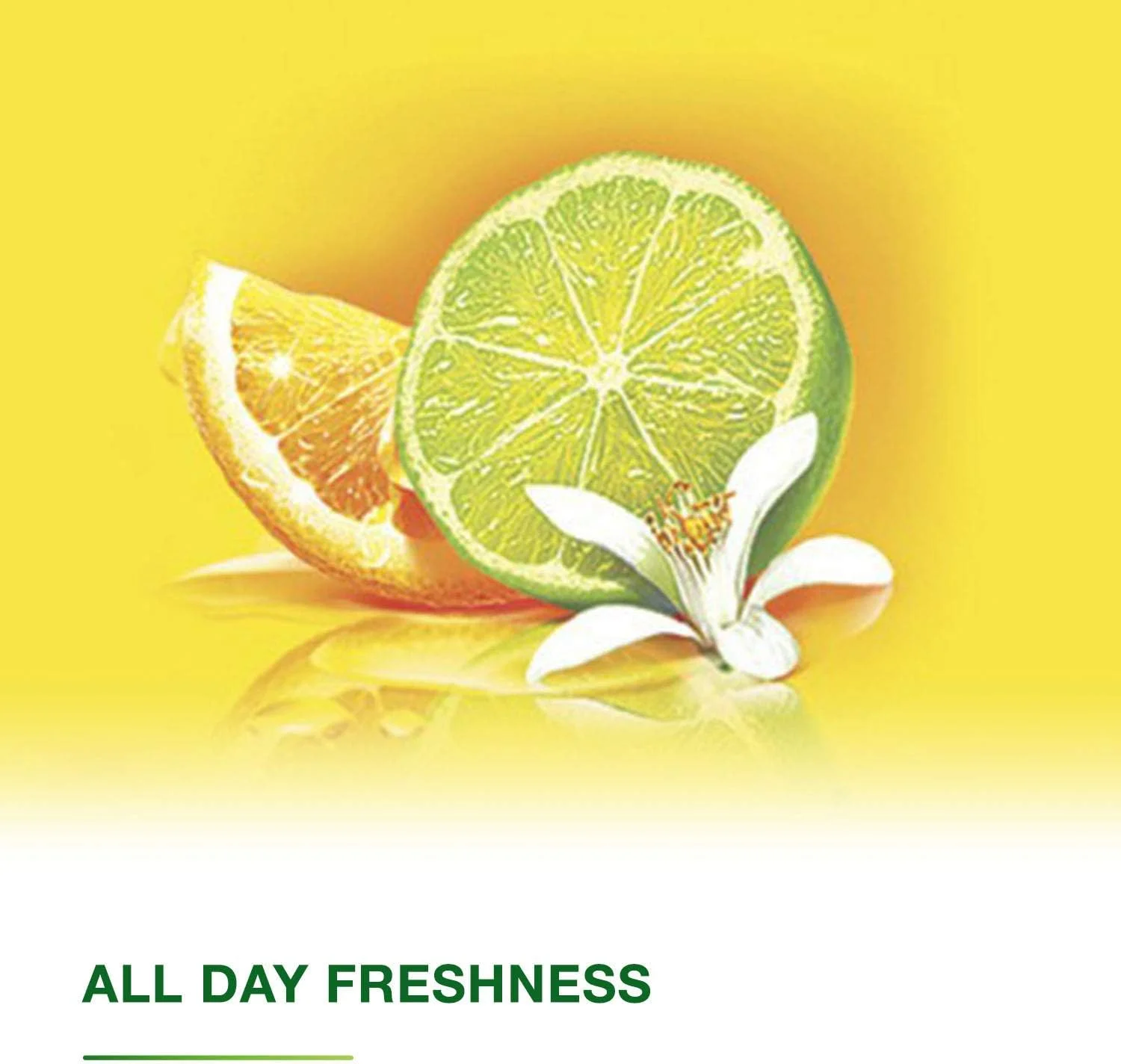 مایع تمیز کننده چند منظوره دتول با رایحه لیمو، مناسب برای خانه سالم، 500 میلی لیتر + پاک کننده کپک و قارچ، بسته دوقلوی 500 میلی لیتری