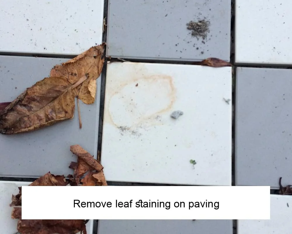 پاک کننده قوی اکوپروتک برای سنگ فرش، سرامیک و سنگ - پاک کننده برای انواع سنگ فرش برای کمک به از بین بردن روغن، چربی، کثیفی و جرم (1 لیتر)