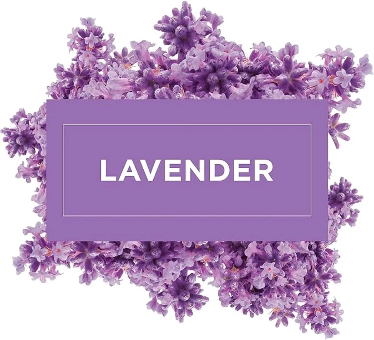 مایع تمیز کننده چند منظوره سطوح لوندر Mr. Muscle، برای تمیزی پیشرفته و طراوت، 3 لیتر مایع تمیز کننده چند منظوره سطوح لوندر Mr. Muscle، برای تمیزی پیشرفته و طراوت، 3 لیتر