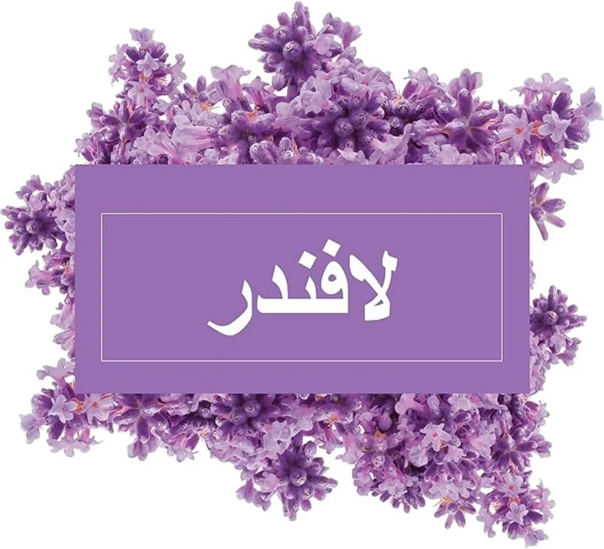 مایع تمیز کننده چند منظوره سطوح لوندر Mr. Muscle، برای تمیزی پیشرفته و طراوت، 3 لیتر مایع تمیز کننده چند منظوره سطوح لوندر Mr. Muscle، برای تمیزی پیشرفته و طراوت، 3 لیتر