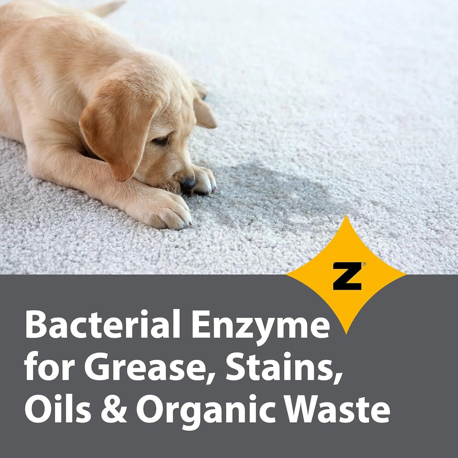 محلول آنزیمی پروبیوتیک چند منظوره زایف پرو گرید - پاک کننده لکه و بوی حیوانات خانگی، پاک کننده لوله بازکن - فرمول قدرتمند تمیز کننده و از بین برنده بو برای سطوح حرفه ای و خانگی - 1 گالن