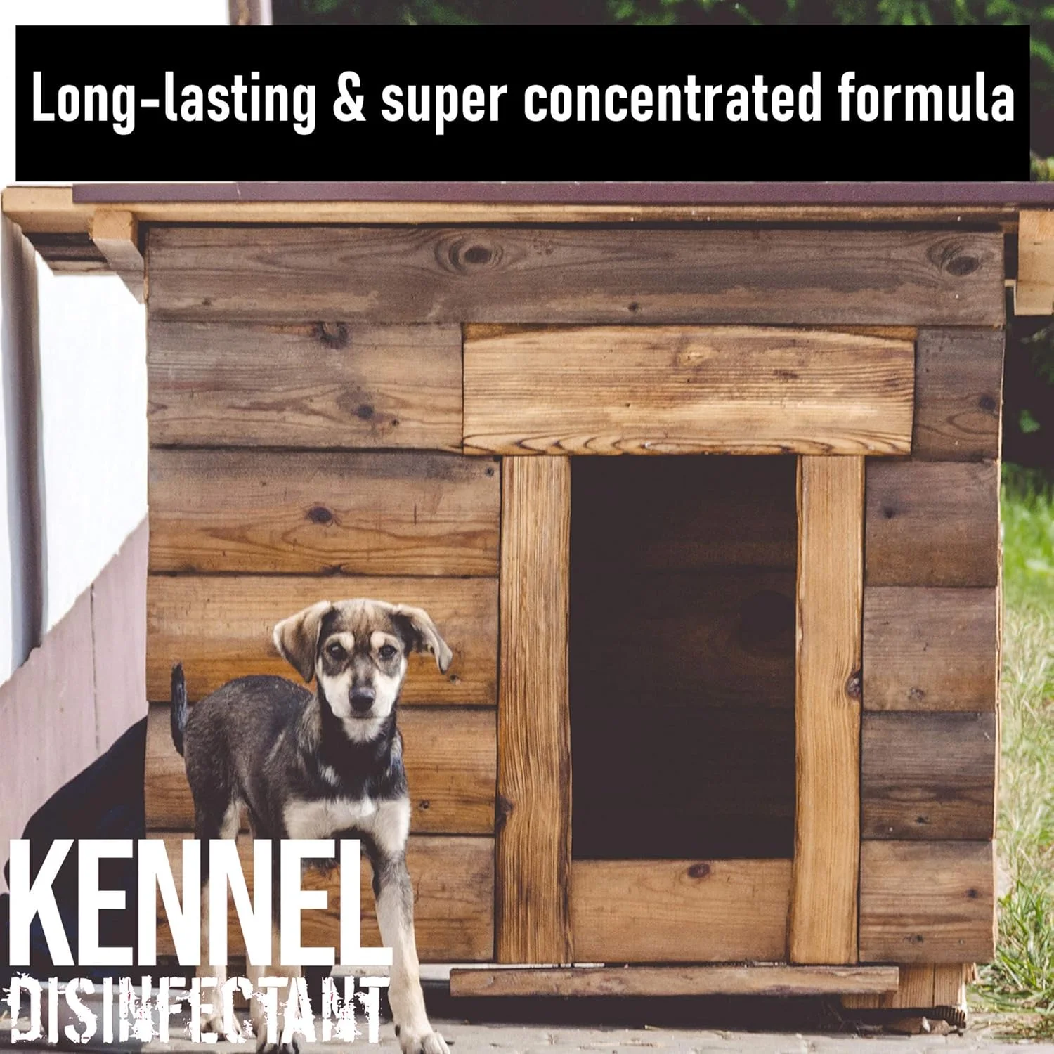 محلول تمیز کننده و ضدعفونی کننده کنسانتره قفس سگ ULTIMA-PLUS XP، مناسب برای استفاده در قفس سگ، قفس گربه، لانه حیوانات و غیره، با رایحه لیمو، 5 لیتر