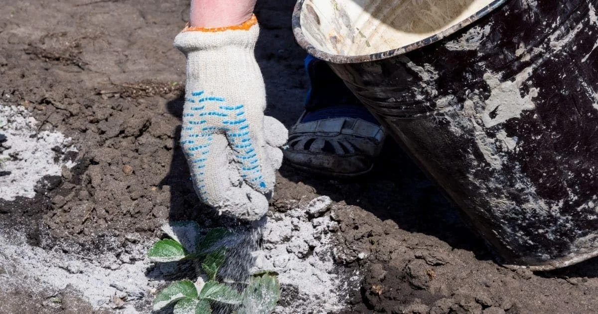 بی کربنات سدیم ترید کمیکالز برای تمیز کردن، پخت و پز، حمام (1 کیلوگرم)