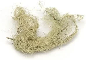 استاروست بوتانیکالز گلسنگ اوسنیا کامل خودرو روییده 113 گرم