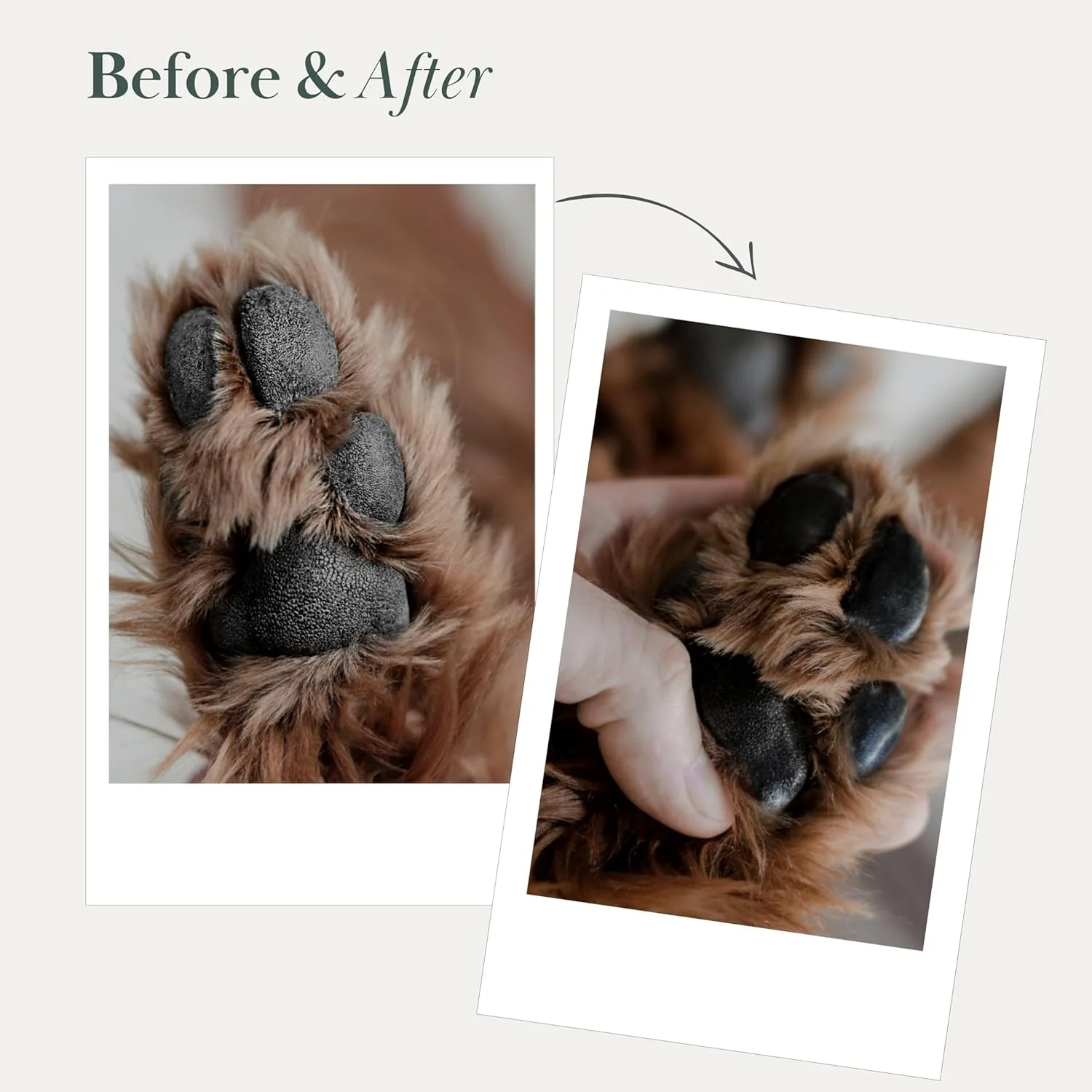 بالم پنجه و بینی سگ نینا ووف، وگان، تسکین دهنده پنجه ایمن برای لیسیدن با کره شی، روغن نارگیل و آووکادو با ویتامین E، ترمیم کننده پدهای و بینی خشک و ترک خورده، 50 میلی لیتر بالم پنجه و بینی سگ نینا ووف، وگان، تسکین دهنده پنجه ایمن برای لیسیدن با کره شی، روغن نارگیل و آووکادو با ویتامین E، ترمیم کننده پدهای و بینی خشک و ترک خورده، 50 میلی لیتر