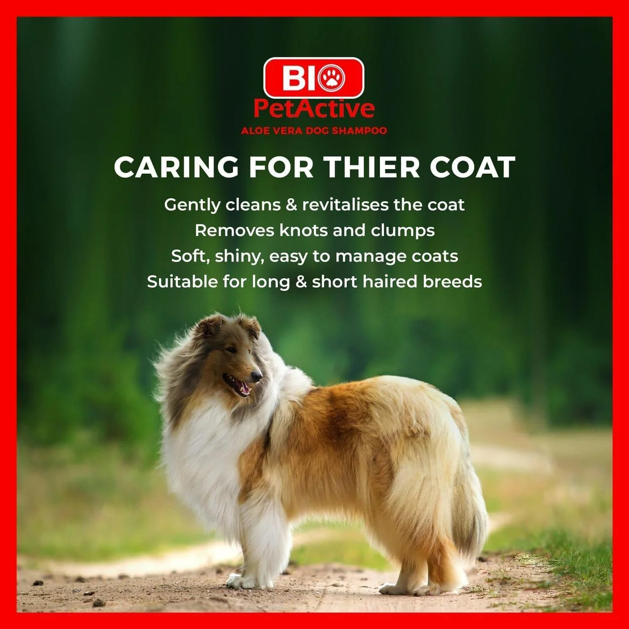 شامپو عصاره آلوئه ورا Bio PetActive برای سگ ها - پاک کننده و مراقبت مرطوب کننده برای پوست های حساس و معمولی، بدون پارابن، متعادل کننده PH + مواد طبیعی - 400 میلی لیتر شامپو عصاره آلوئه ورا Bio PetActive برای سگ ها - پاک کننده و مراقبت مرطوب کننده برای پوست های حساس و معمولی، بدون پارابن، متعادل کننده PH + مواد طبیعی - 400 میلی لیتر