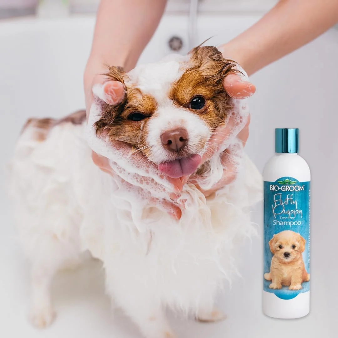 شامپو سگ Bio-groom Fluffy Puppy، ۳۵۵ میلی لیتر - بسته ۲ عددی شامپو سگ Bio-groom Fluffy Puppy، ۳۵۵ میلی لیتر - بسته ۲ عددی