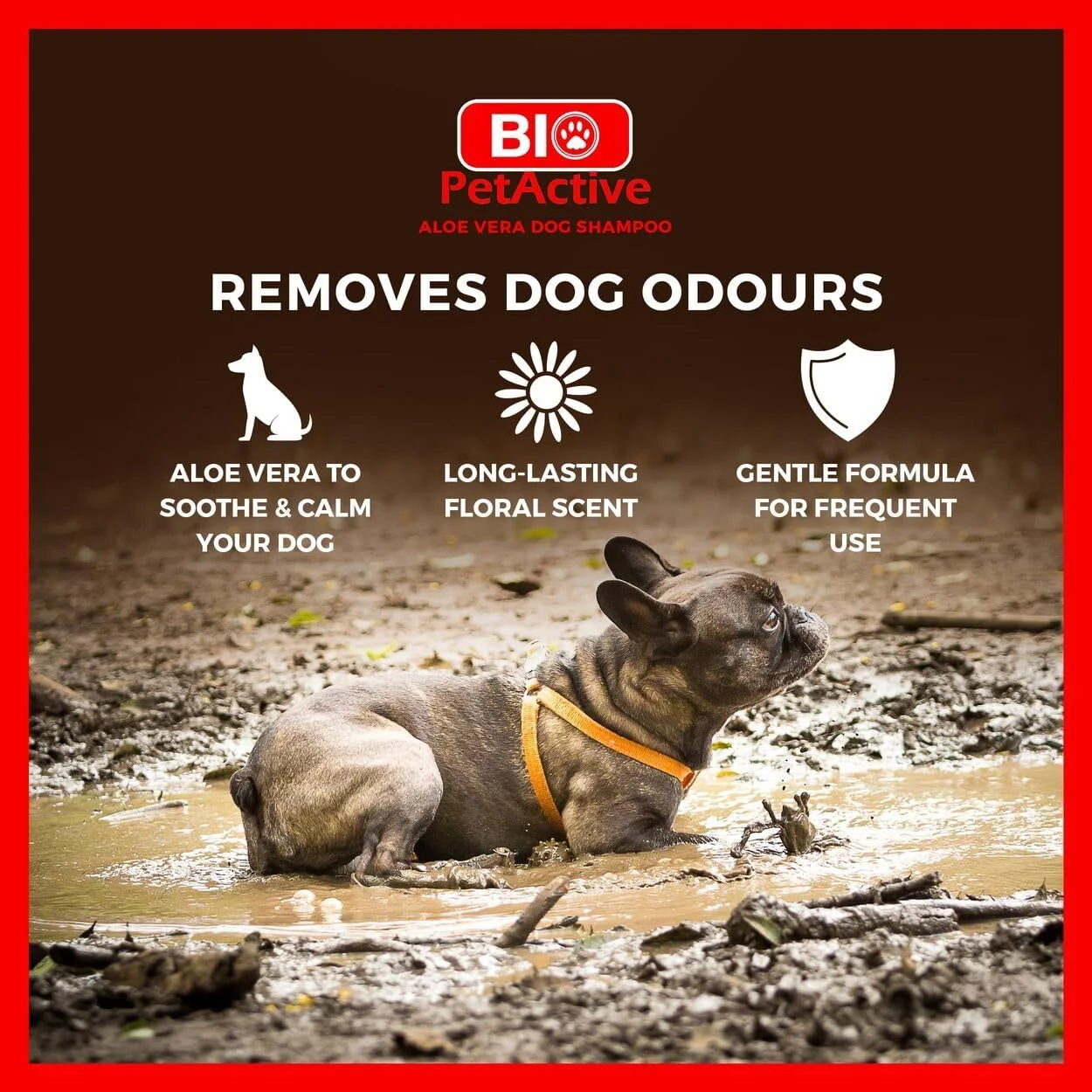 شامپو عصاره آلوئه ورا Bio PetActive برای سگ ها - پاک کننده و مراقبت مرطوب کننده برای پوست های حساس و معمولی، بدون پارابن، متعادل کننده PH + مواد طبیعی - 400 میلی لیتر شامپو عصاره آلوئه ورا Bio PetActive برای سگ ها - پاک کننده و مراقبت مرطوب کننده برای پوست های حساس و معمولی، بدون پارابن، متعادل کننده PH + مواد طبیعی - 400 میلی لیتر