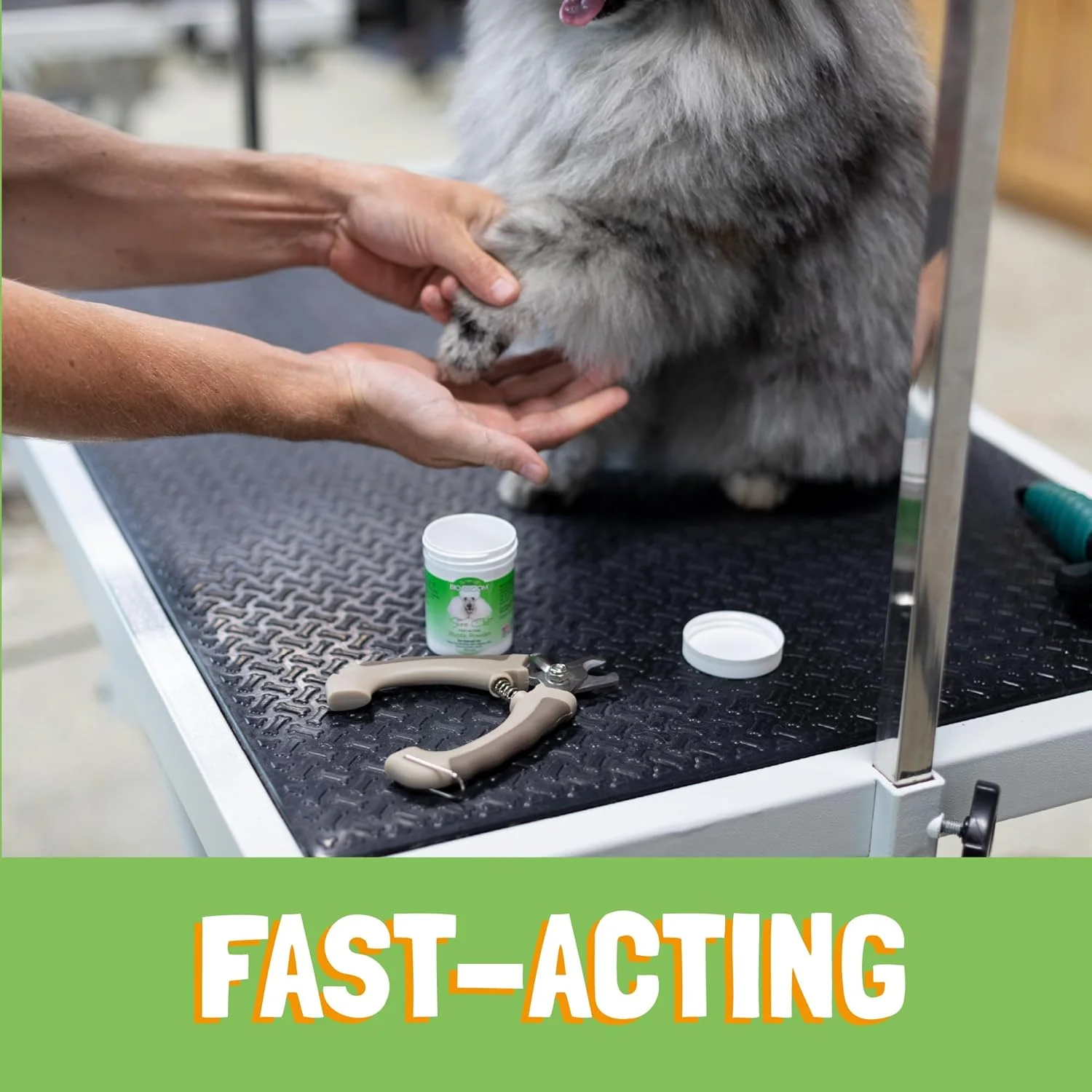 پودر انعقاد خون Bio-groom BIO GROOM SURE CLOT، ۴۲ گرم