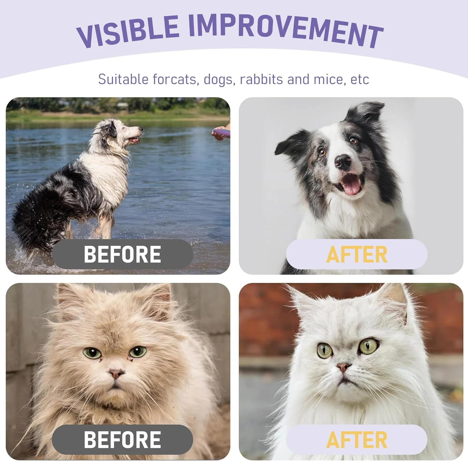 دستکش تمیز کننده حیوانات خانگی، دستمال مرطوب حمام برای سگ و گربه، دستمال مرطوب ضد حساسیت و خوشبو کننده بدون نیاز به آبکشی برای پنجه، بدن و باسن، ایده آل برای خشک شویی گربه، مراقبت روزانه و مسافرت، اسطوخودوس، 8 عدد دستکش تمیز کننده حیوانات خانگی، دستمال مرطوب حمام برای سگ و گربه، دستمال مرطوب ضد حساسیت و خوشبو کننده بدون نیاز به آبکشی برای پنجه، بدن و باسن، ایده آل برای خشک شویی گربه، مراقبت روزانه و مسافرت، اسطوخودوس، 8 عدد