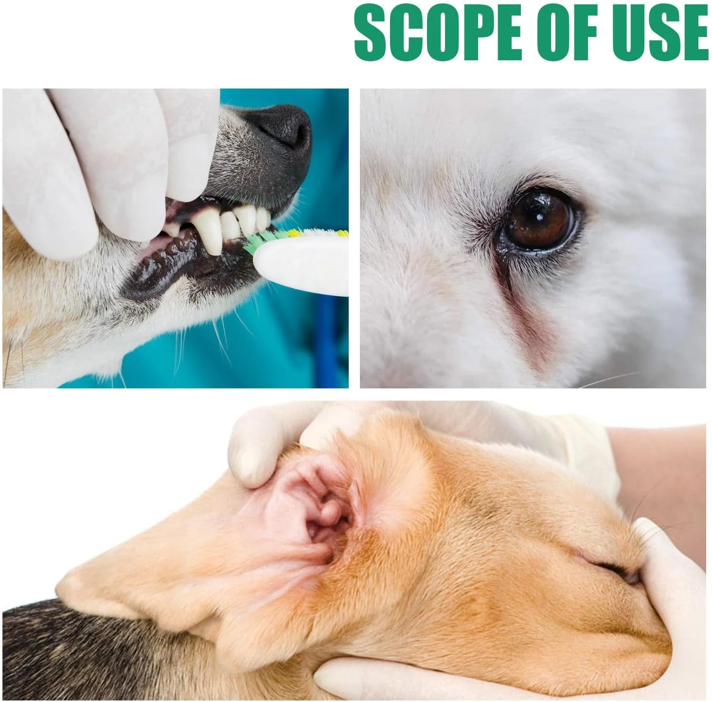 20 عدد دستمال مرطوب انگشتی تمیز کننده حیوانات خانگی برای سگ و گربه، دستمال مرطوب یکبار مصرف سفید برای دندان، چشم و گوش، پدهای ملایم و غیر تحریک کننده برای استفاده روزانه، طراحی مناسب انگشت برای تمیز کردن آسان 20 عدد دستمال مرطوب انگشتی تمیز کننده حیوانات خانگی برای سگ و گربه، دستمال مرطوب یکبار مصرف سفید برای دندان، چشم و گوش، پدهای ملایم و غیر تحریک کننده برای استفاده روزانه، طراحی مناسب انگشت برای تمیز کردن آسان