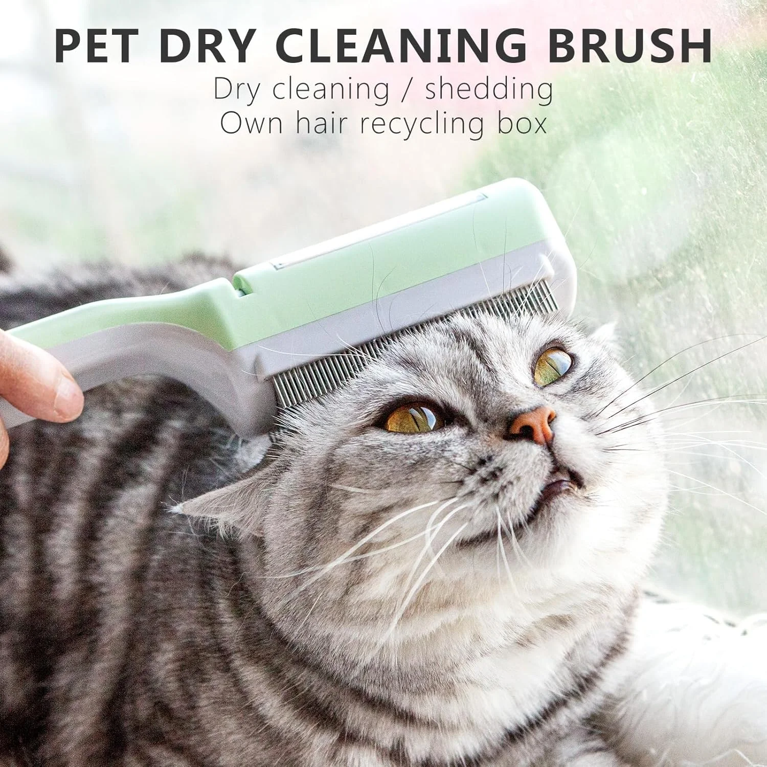 برس خشک شویی، برای گربه/سگ های مو کوتاه یا بلند، برس موی گربه بدون نیاز به آب، برس چسبناک گربه برای ریزش مو و نظافت، برس گربه برای گربه های داخل خانه، شانه گربه خرگوشی موهای شل را از بین می برد (1 عدد) برس خشک شویی، برای گربه/سگ های مو کوتاه یا بلند، برس موی گربه بدون نیاز به آب، برس چسبناک گربه برای ریزش مو و نظافت، برس گربه برای گربه های داخل خانه، شانه گربه خرگوشی موهای شل را از بین می برد (1 عدد)