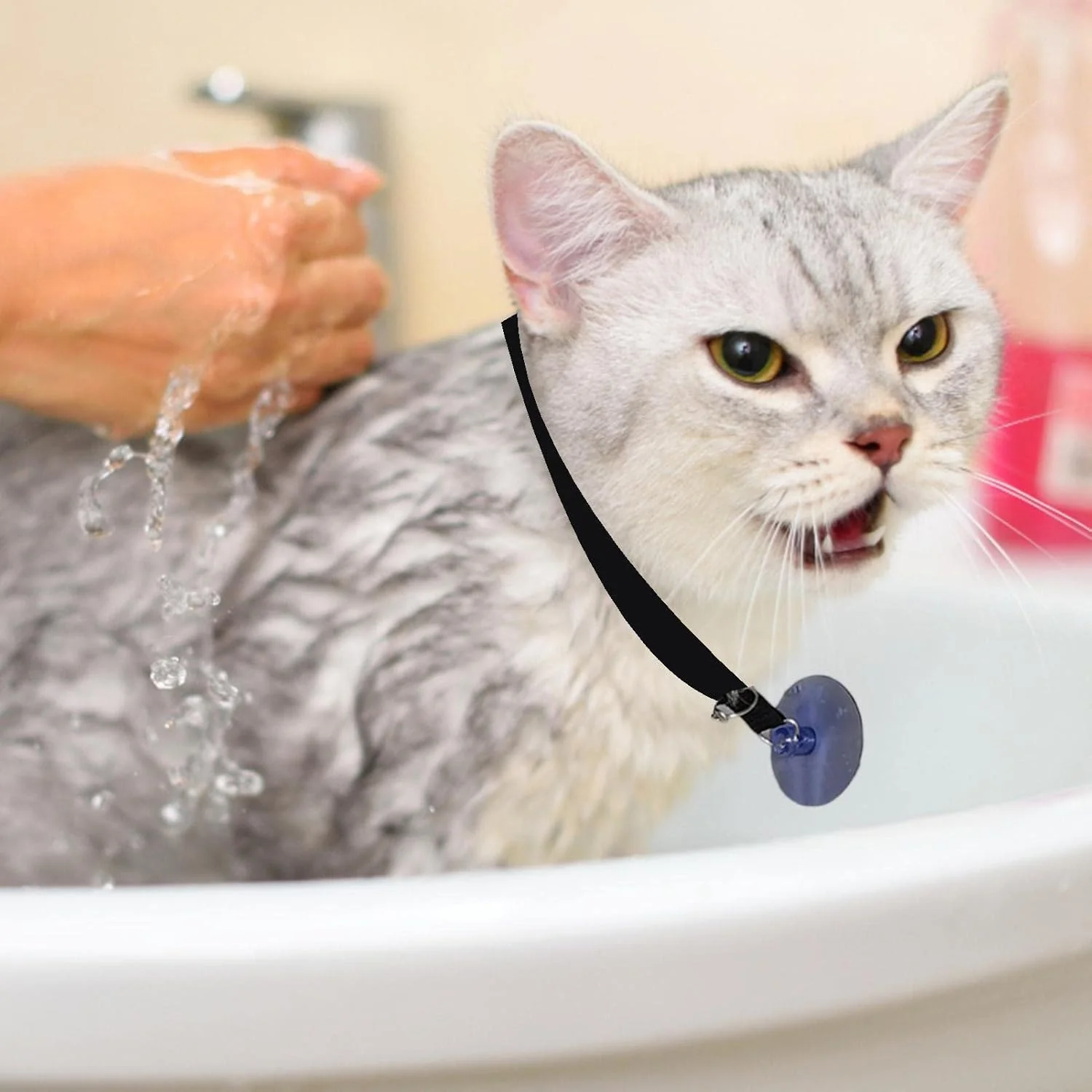 طناب حمام سگ - طناب ثابت فنجانی مکشی وان حمام برای گربه ها و سگ ها، حلقه نظافت، مهار کننده وان نظافت سگ، طناب ایمنی ثابت قابل تنظیم سگ و گربه برای حمام کردن حیوانات خانگی طناب حمام سگ - طناب ثابت فنجانی مکشی وان حمام برای گربه ها و سگ ها، حلقه نظافت، مهار کننده وان نظافت سگ، طناب ایمنی ثابت قابل تنظیم سگ و گربه برای حمام کردن حیوانات خانگی