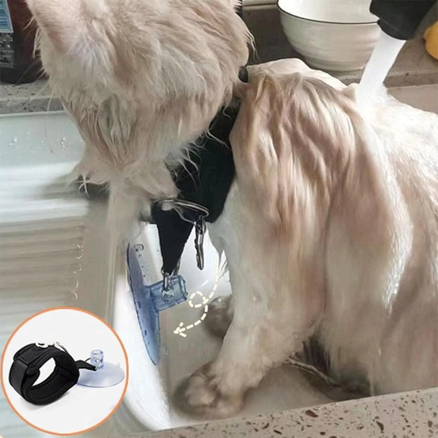طناب حمام سگ - طناب ثابت فنجانی مکشی وان حمام برای گربه ها و سگ ها، حلقه نظافت، مهار کننده وان نظافت سگ، طناب ایمنی ثابت قابل تنظیم سگ و گربه برای حمام کردن حیوانات خانگی طناب حمام سگ - طناب ثابت فنجانی مکشی وان حمام برای گربه ها و سگ ها، حلقه نظافت، مهار کننده وان نظافت سگ، طناب ایمنی ثابت قابل تنظیم سگ و گربه برای حمام کردن حیوانات خانگی