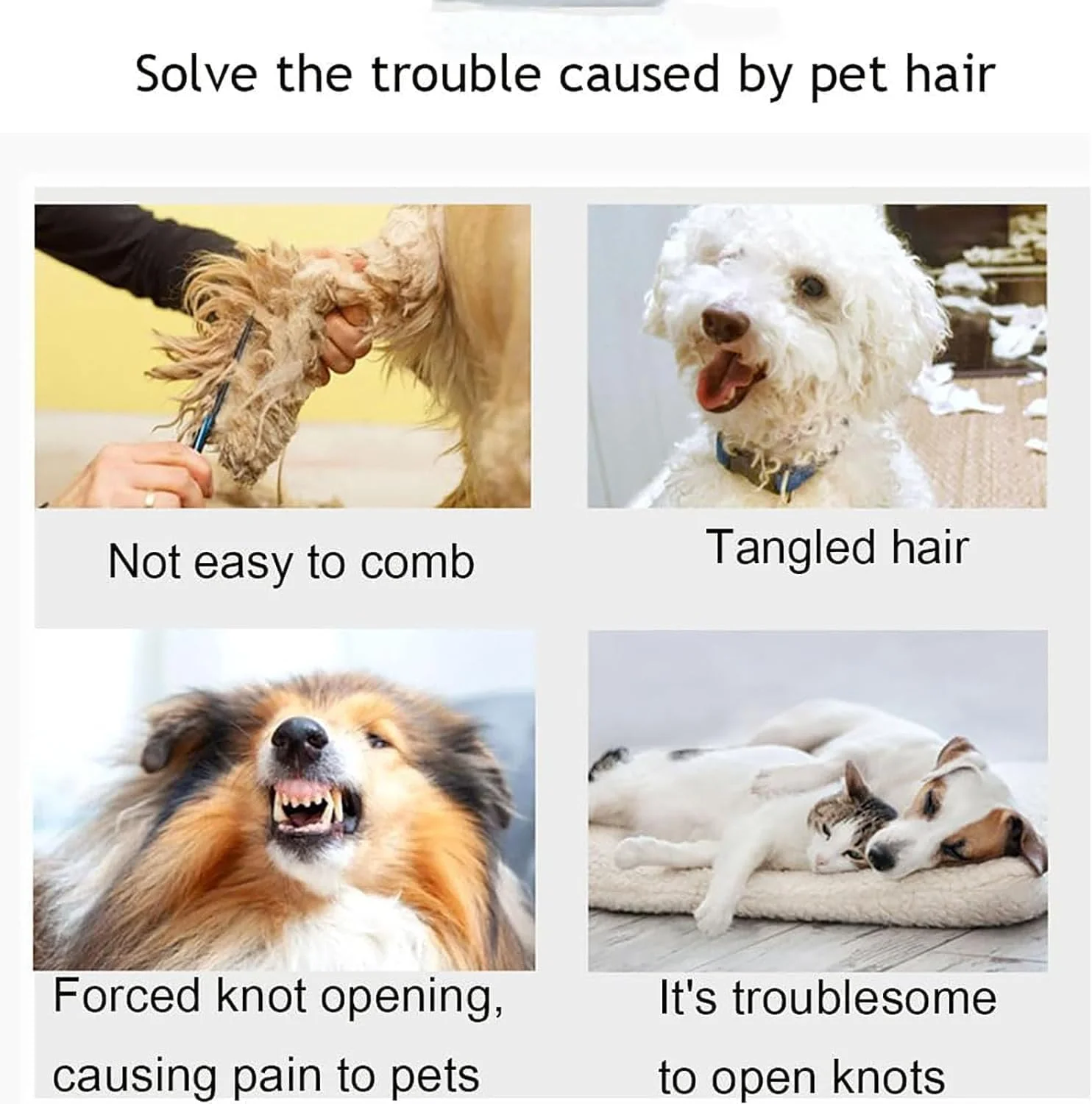 شانه سگ، ابزار رفع گره حیوانات خانگی، شانه گره باز کن سگ، شانه رفع گره حیوانات خانگی برای گربه، شانه باز کننده گره حیوانات خانگی، ابزار نظافت حیوانات خانگی، نامه بازکن، برش کاغذ کادو (4 عدد رنگی) شانه سگ، ابزار رفع گره حیوانات خانگی، شانه گره باز کن سگ، شانه رفع گره حیوانات خانگی برای گربه، شانه باز کننده گره حیوانات خانگی، ابزار نظافت حیوانات خانگی، نامه بازکن، برش کاغذ کادو (4 عدد رنگی)