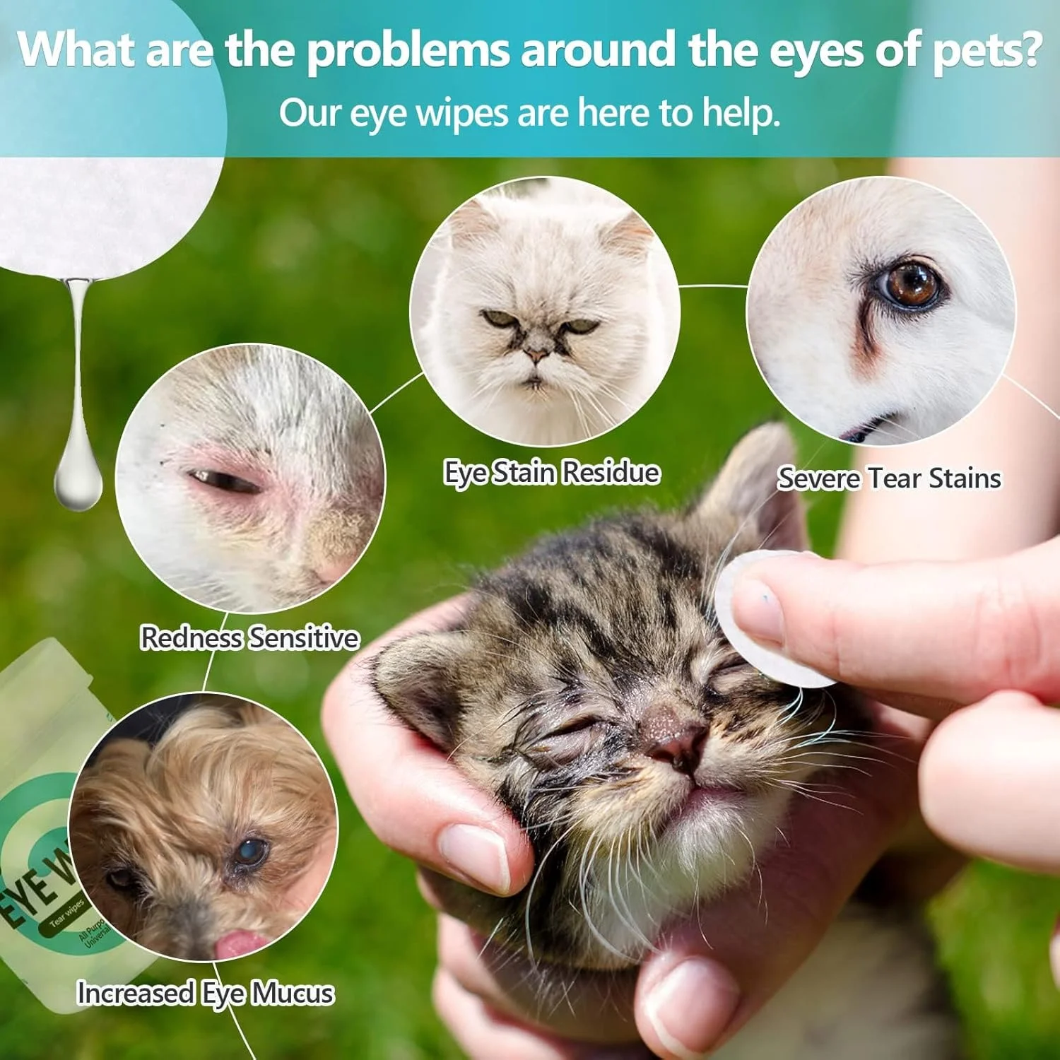 دستمال مرطوب چشم سگ، پاک کننده چشم سگ و گربه، دستمال مرطوب پاک کننده لکه اشک حیوانات خانگی، 150 عدد پد شستشوی چشم برای سگ و گربه، دستمال مرطوب نرم و بدون عطر برای تمیز کردن ملایم چشم دستمال مرطوب چشم سگ، پاک کننده چشم سگ و گربه، دستمال مرطوب پاک کننده لکه اشک حیوانات خانگی، 150 عدد پد شستشوی چشم برای سگ و گربه، دستمال مرطوب نرم و بدون عطر برای تمیز کردن ملایم چشم