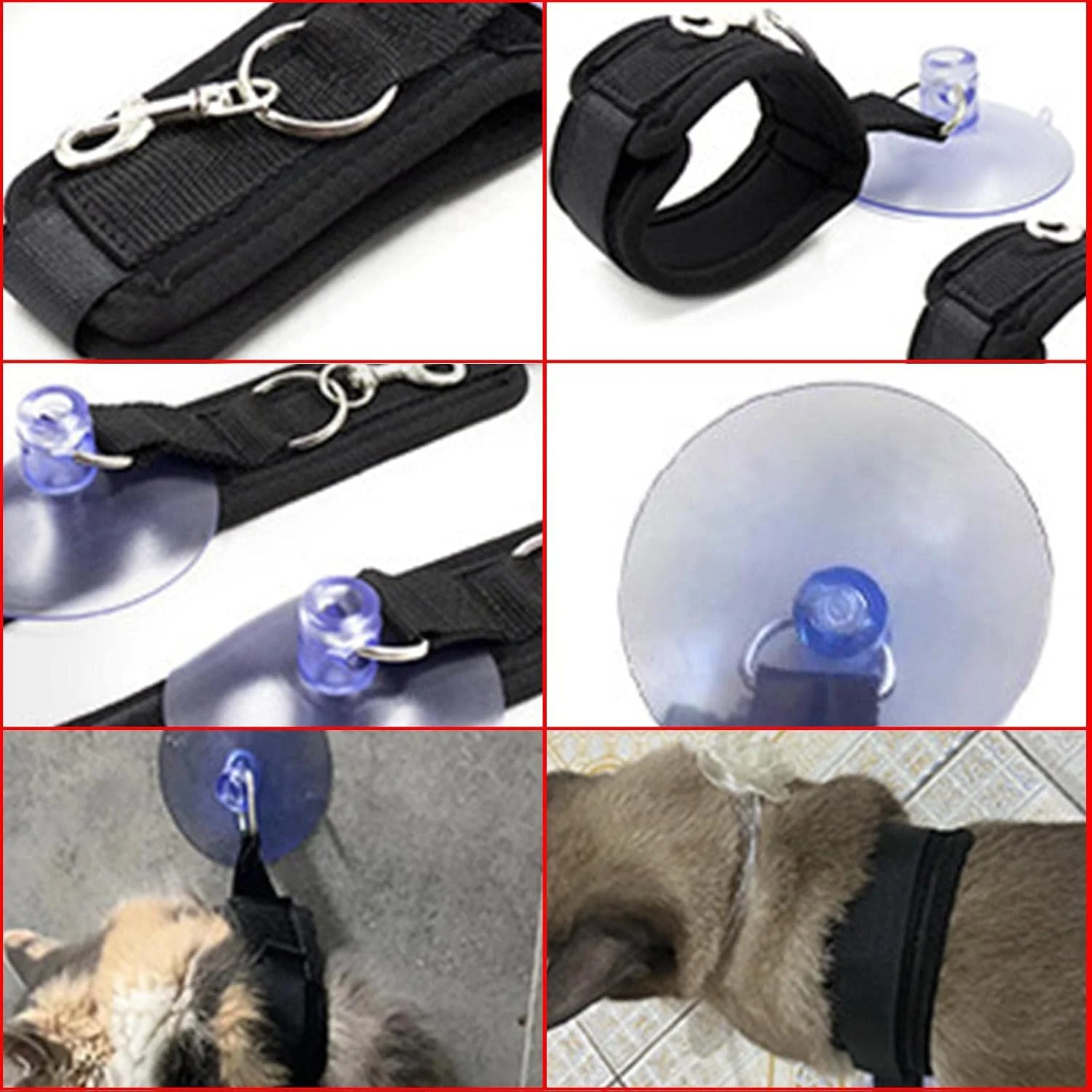 طناب حمام سگ - طناب ثابت فنجانی مکشی وان حمام برای گربه ها و سگ ها، حلقه نظافت، مهار کننده وان نظافت سگ، طناب ایمنی ثابت قابل تنظیم سگ و گربه برای حمام کردن حیوانات خانگی طناب حمام سگ - طناب ثابت فنجانی مکشی وان حمام برای گربه ها و سگ ها، حلقه نظافت، مهار کننده وان نظافت سگ، طناب ایمنی ثابت قابل تنظیم سگ و گربه برای حمام کردن حیوانات خانگی