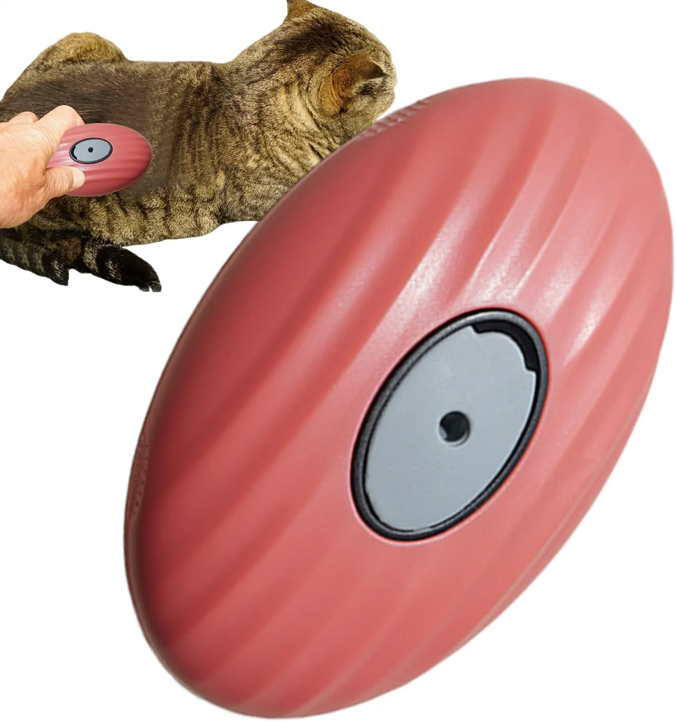 شانه حیوانات خانگی | برس ریزش موی جداشدنی حیوانات خانگی، برس شانه نرم برای تمیز کردن حمام، جزئیات بچه گربه، حمام خانگی، توله سگ، حیوانات کوچک خانگی