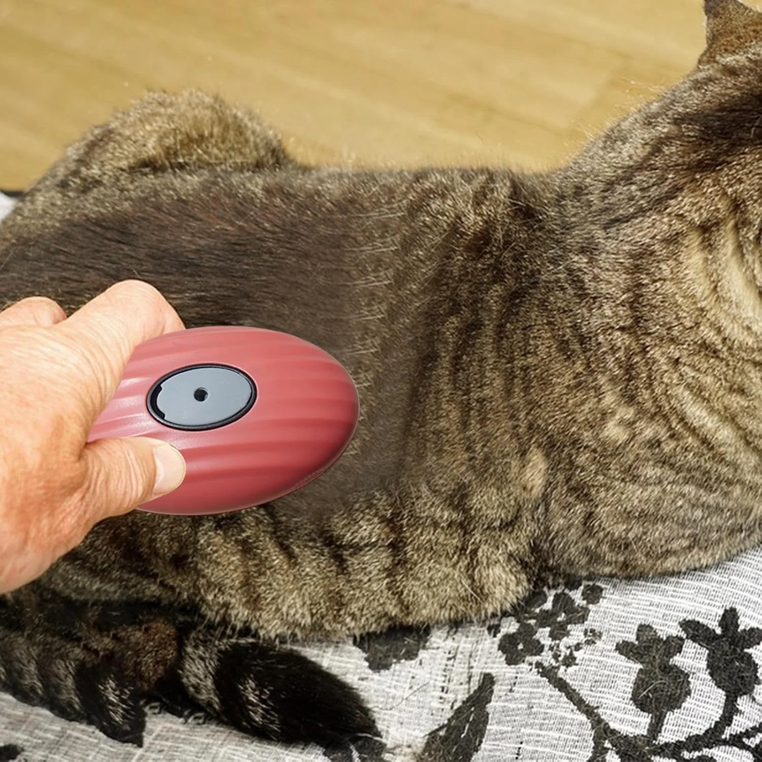 شانه نظافت گربه - برس نظافت موی حیوانات خانگی قابل جابجایی | شانه برس نرم برای حمام، توله سگ، جزئیات حمام، تمیز کردن، بچه گربه، خانه، حیوانات کوچک سرپوشیده