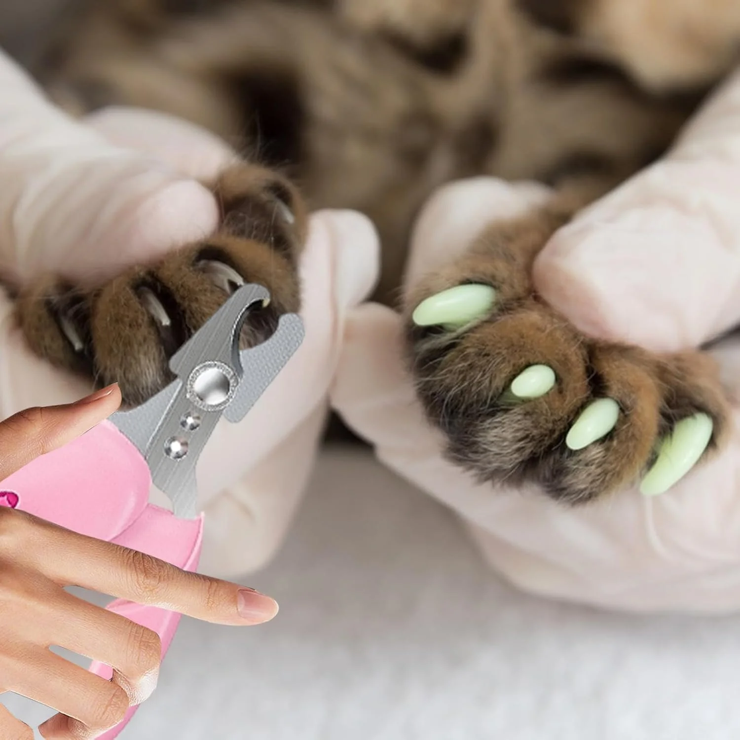 ناخن گیر حیوانات خانگی برای گربه | ابزار سوهان ناخن توله سگ | لوازم جانبی ارگونومیک و دقیق برای پیرایش بچه گربه برای بزرگسالان، نوجوانان، صاحبان حیوانات خانگی، خانواده ها و دوستان