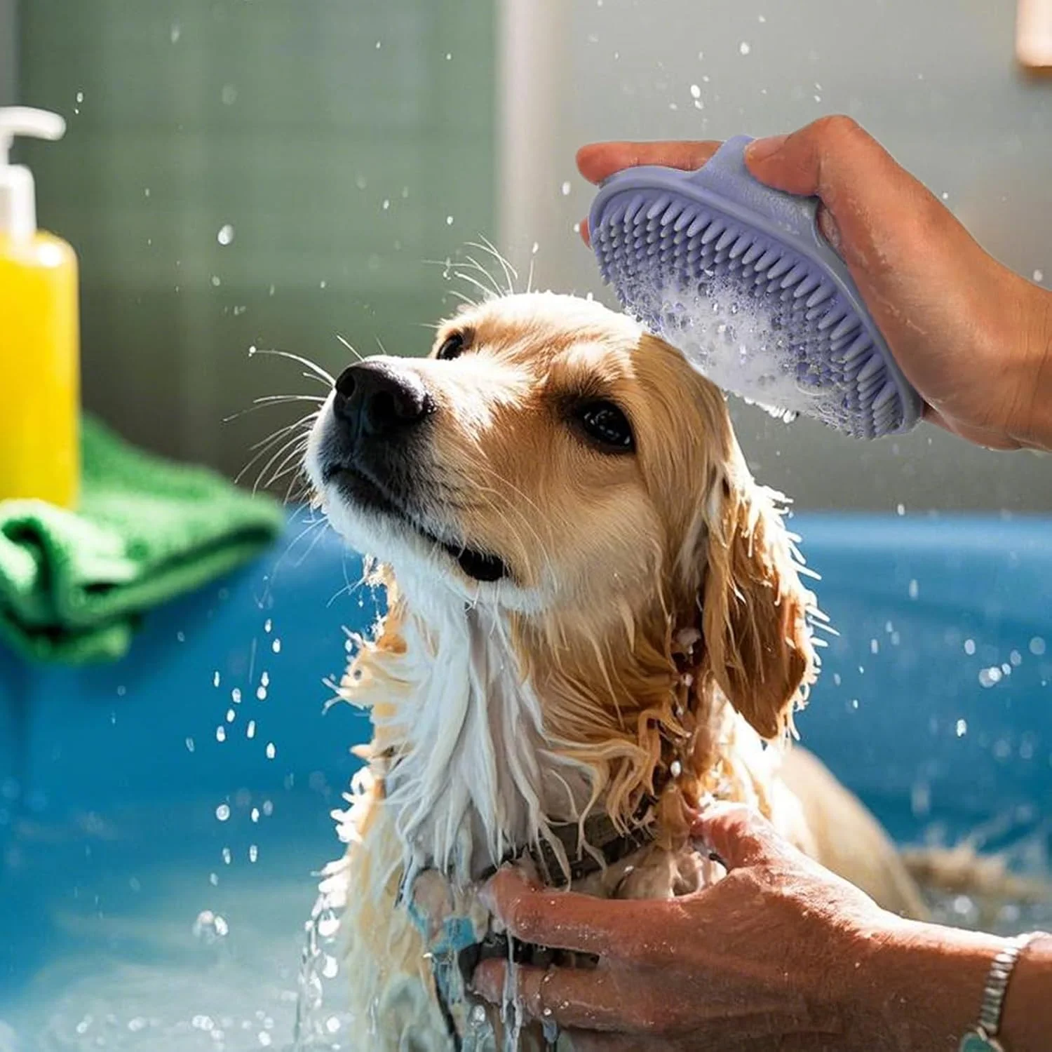 برس حمام سگ - ابزار ماساژ نظافت راحت - برس نرم حیوانات خانگی | برای گربه ها توله سگ ها راسوها اسب ها خرگوش ها خوکچه هندی داخل خانه خارج از خانه
