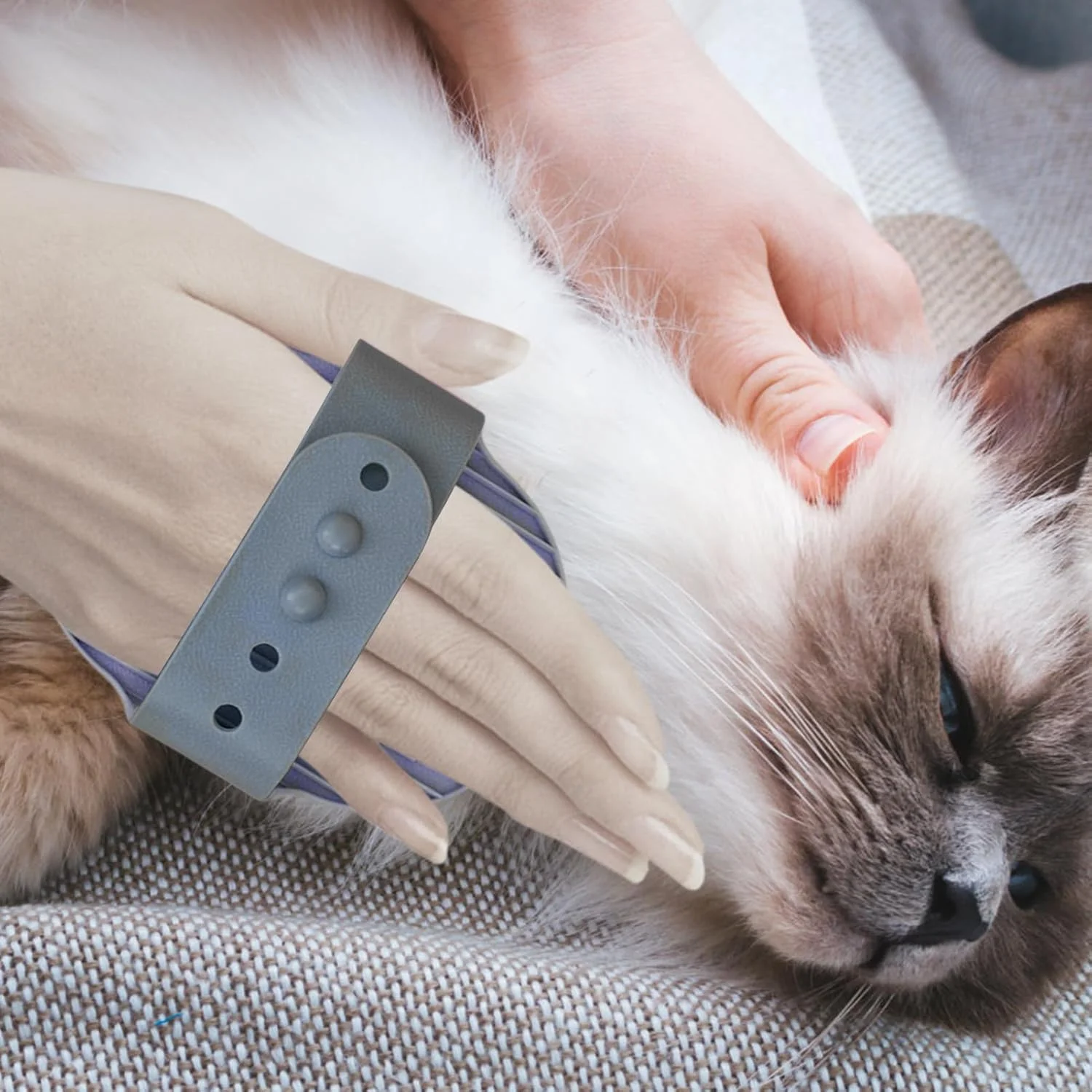 برس حمام سگ - ابزار ماساژ نظافت راحت - برس نرم حیوانات خانگی | برای گربه ها توله سگ ها راسوها اسب ها خرگوش ها خوکچه هندی داخل خانه خارج از خانه