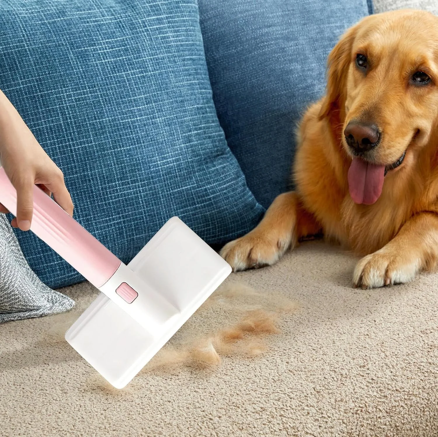 از بین برنده موی حیوانات خانگی | پرزگیر با دسته جداشدنی، برس حذف مو | برای مبلمان سگ و گربه، مبل، فرش، پتو، پرده، بالش از بین برنده موی حیوانات خانگی | پرزگیر با دسته جداشدنی، برس حذف مو | برای مبلمان سگ و گربه، مبل، فرش، پتو، پرده، بالش